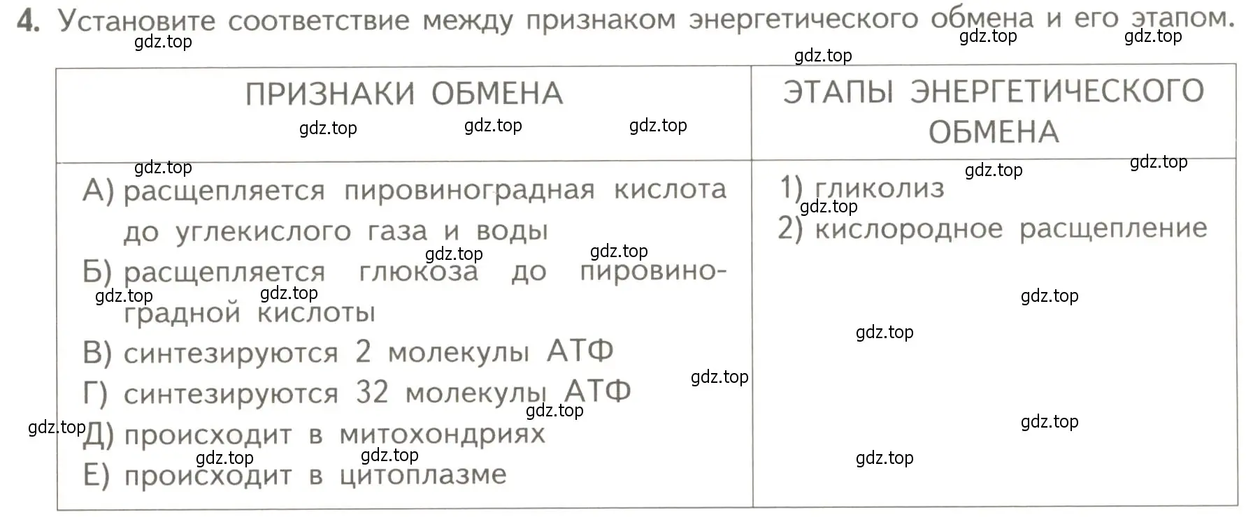 Условие номер 4 (страница 159) гдз по биологии 10 класс Пасечник, Каменский, учебник