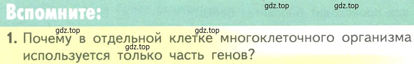 Условие номер 1 (страница 178) гдз по биологии 10 класс Пасечник, Каменский, учебник