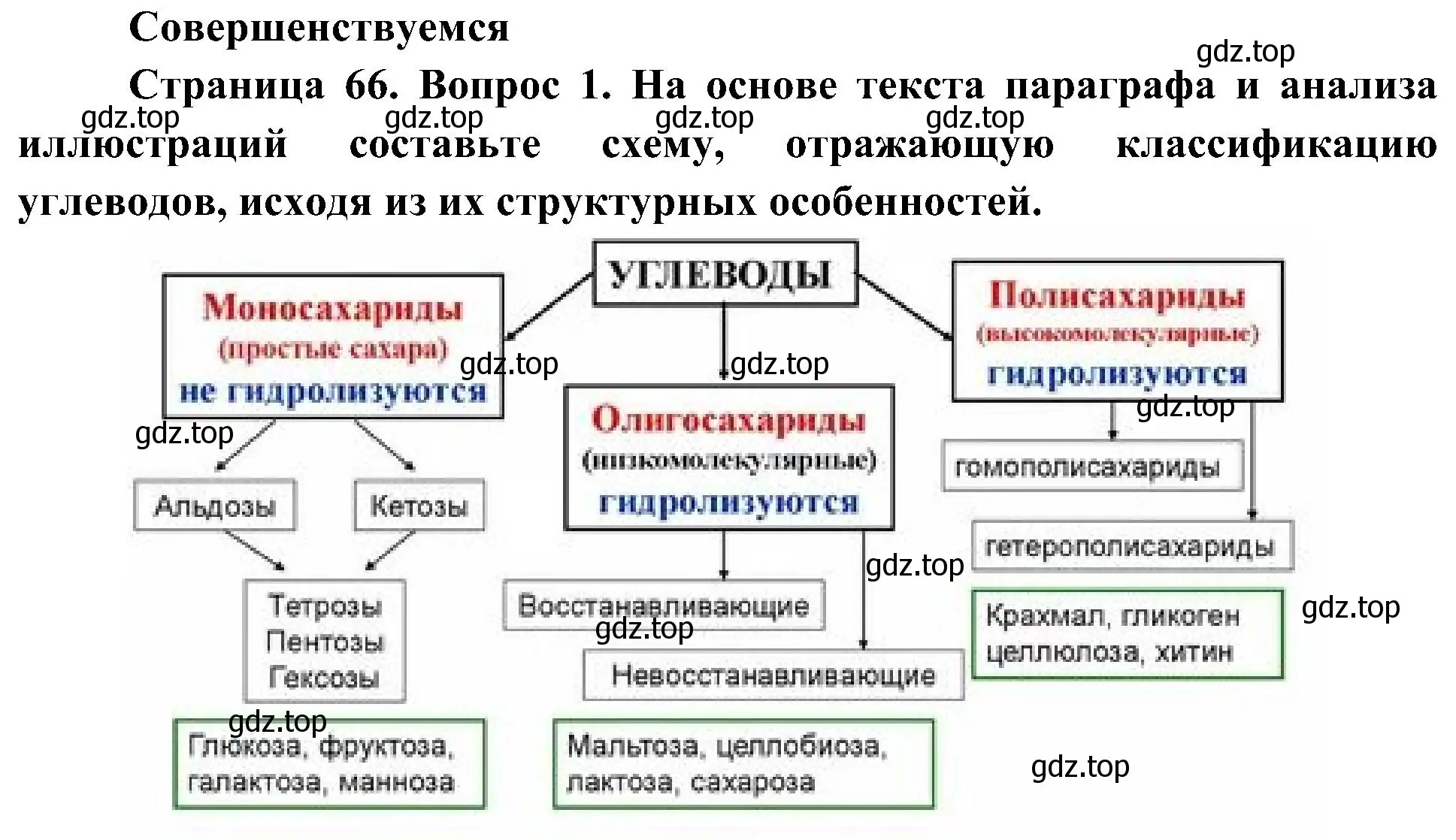 Решение номер 1 (страница 66) гдз по биологии 10 класс Пасечник, Каменский, учебник