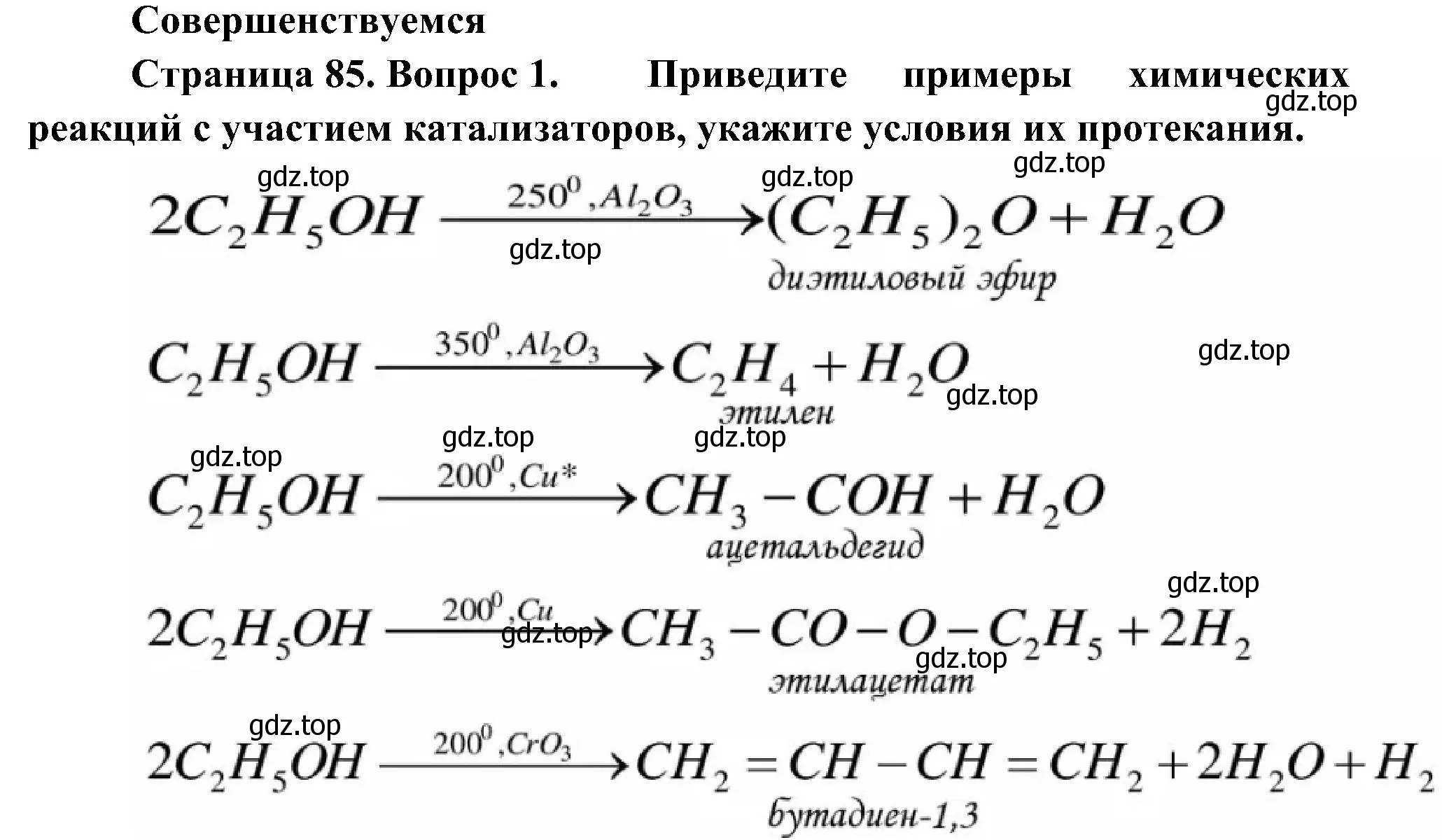 Решение номер 1 (страница 85) гдз по биологии 10 класс Пасечник, Каменский, учебник