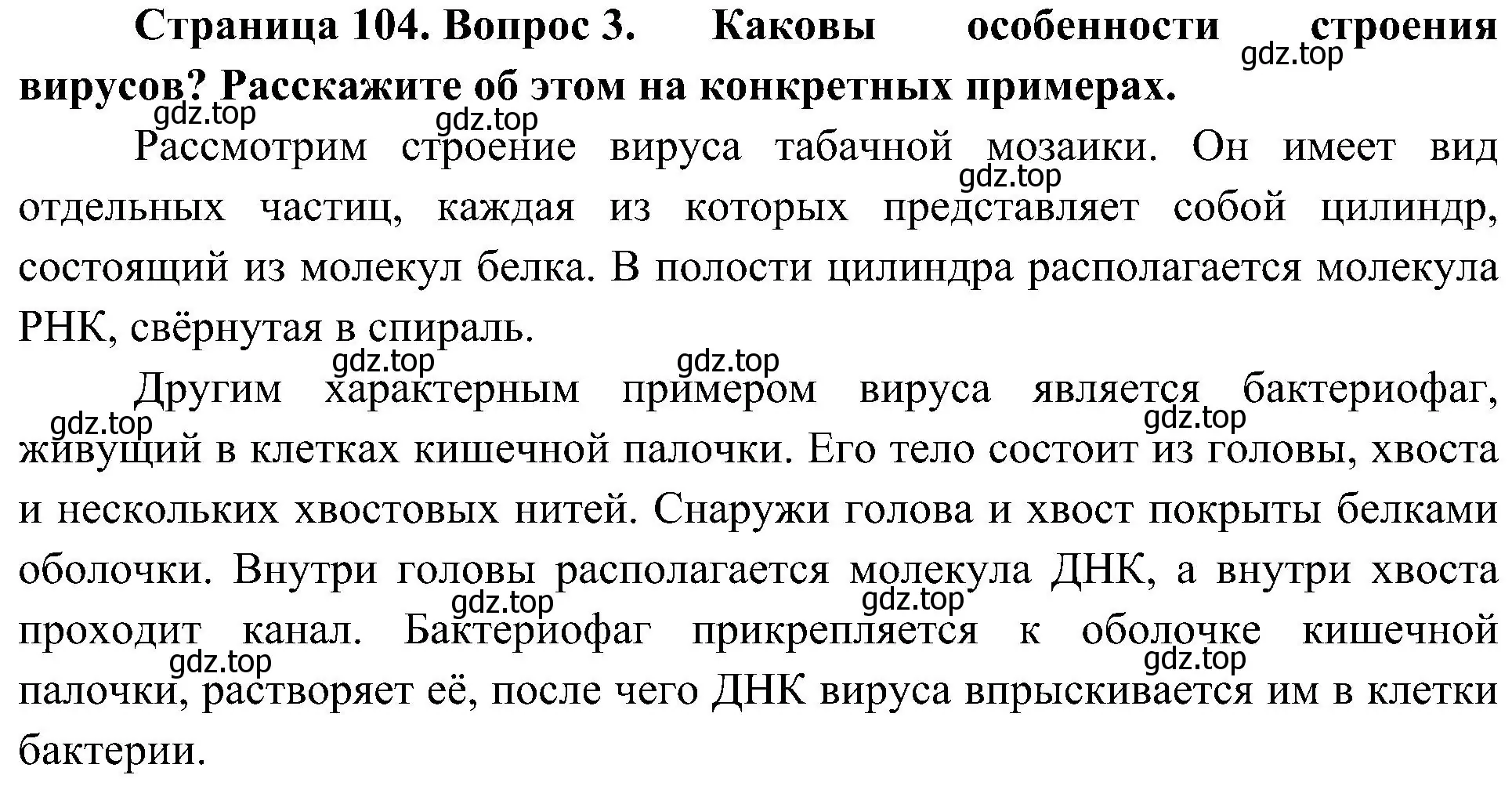 Решение номер 3 (страница 104) гдз по биологии 10 класс Пасечник, Каменский, учебник