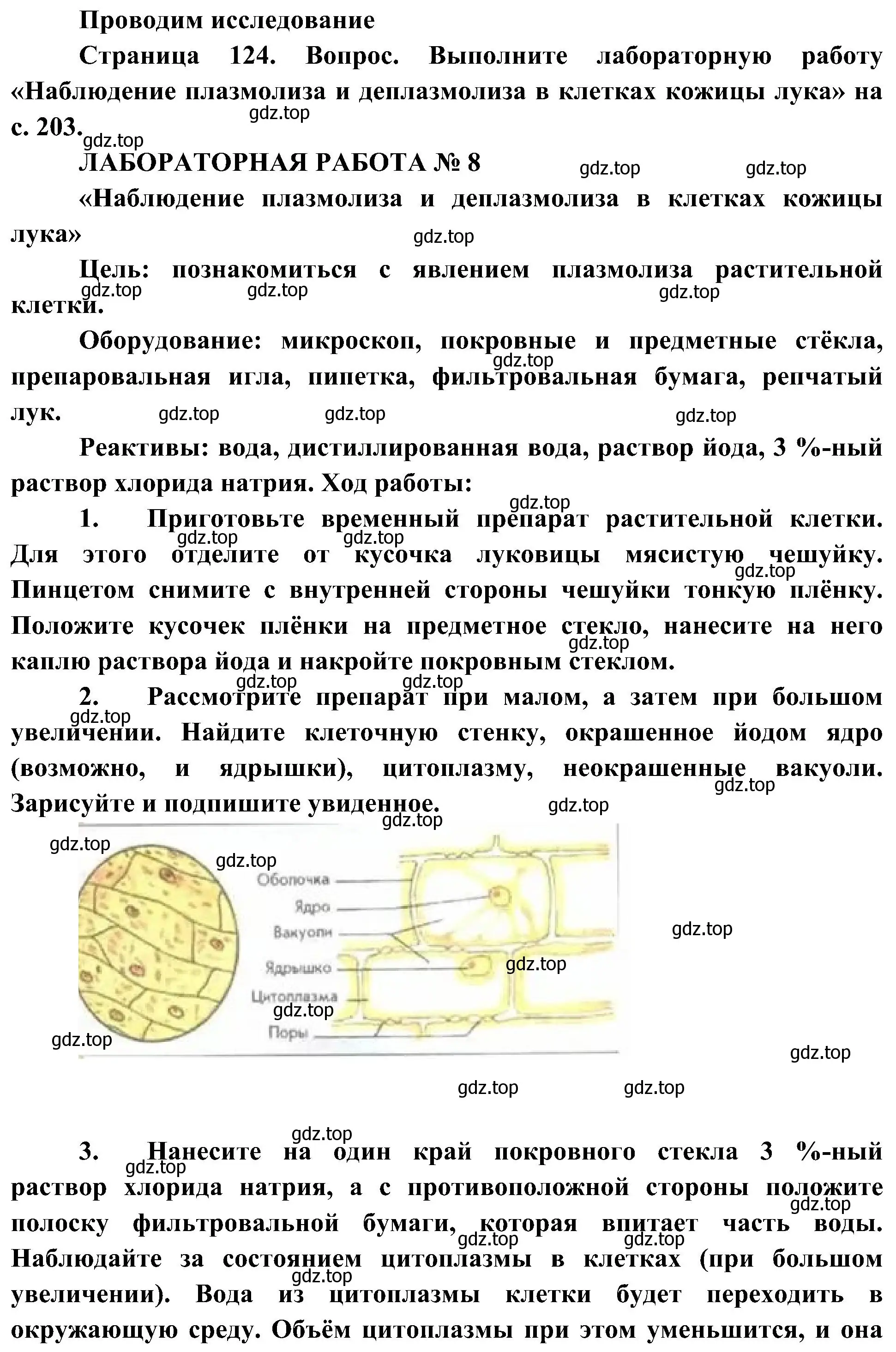 Решение  Проводим исследование (страница 124) гдз по биологии 10 класс Пасечник, Каменский, учебник