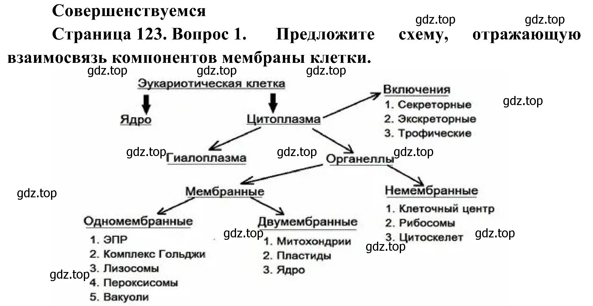 Решение номер 1 (страница 123) гдз по биологии 10 класс Пасечник, Каменский, учебник