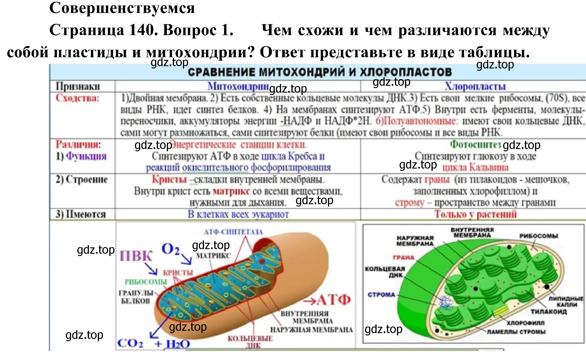 Решение номер 1 (страница 140) гдз по биологии 10 класс Пасечник, Каменский, учебник