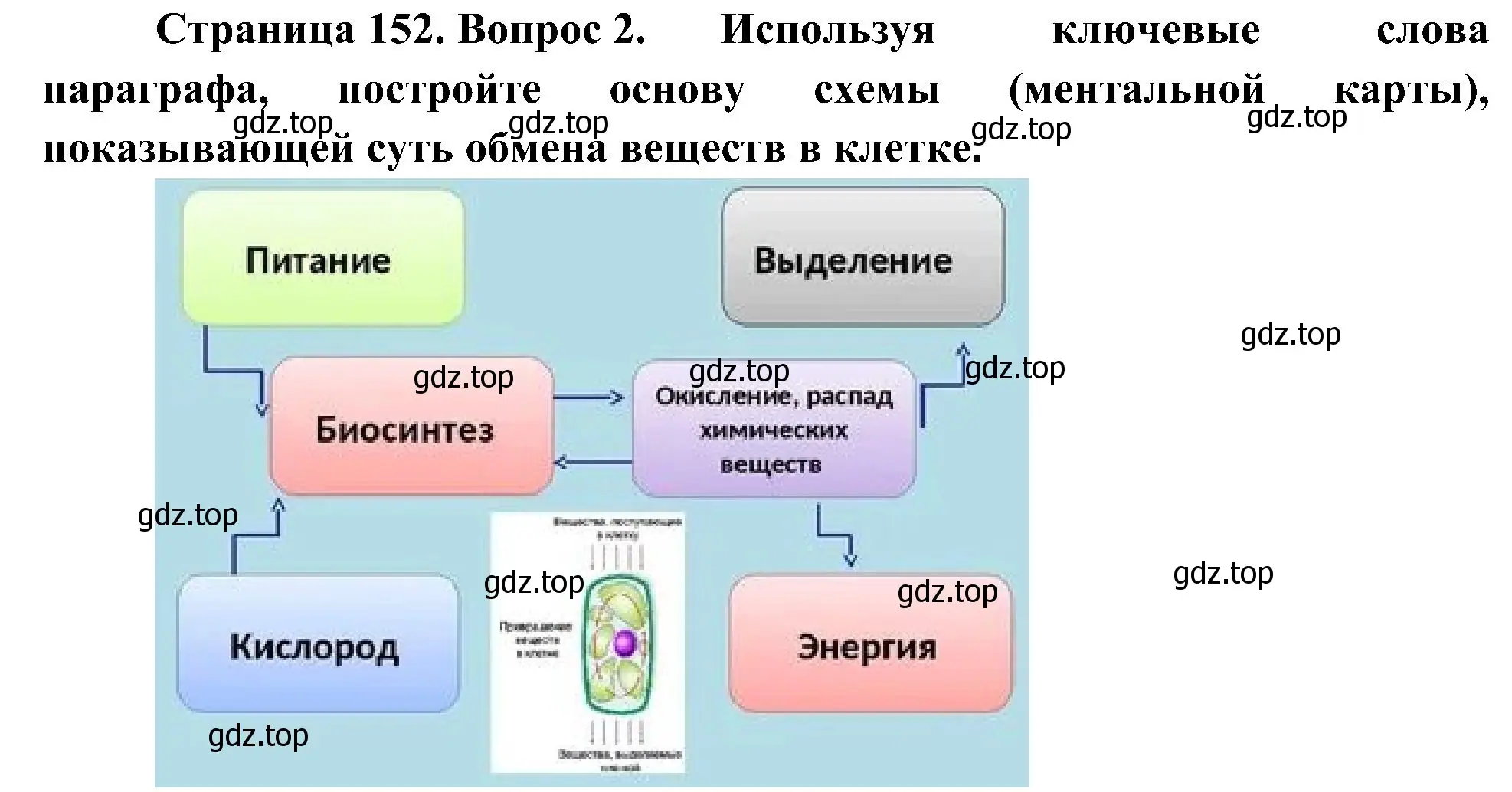 Решение номер 2 (страница 152) гдз по биологии 10 класс Пасечник, Каменский, учебник