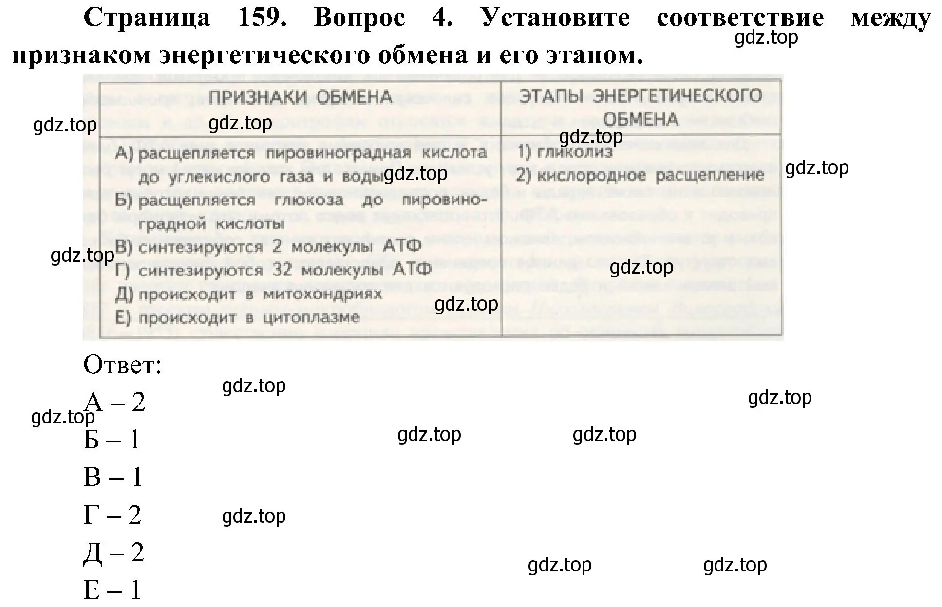 Решение номер 4 (страница 159) гдз по биологии 10 класс Пасечник, Каменский, учебник