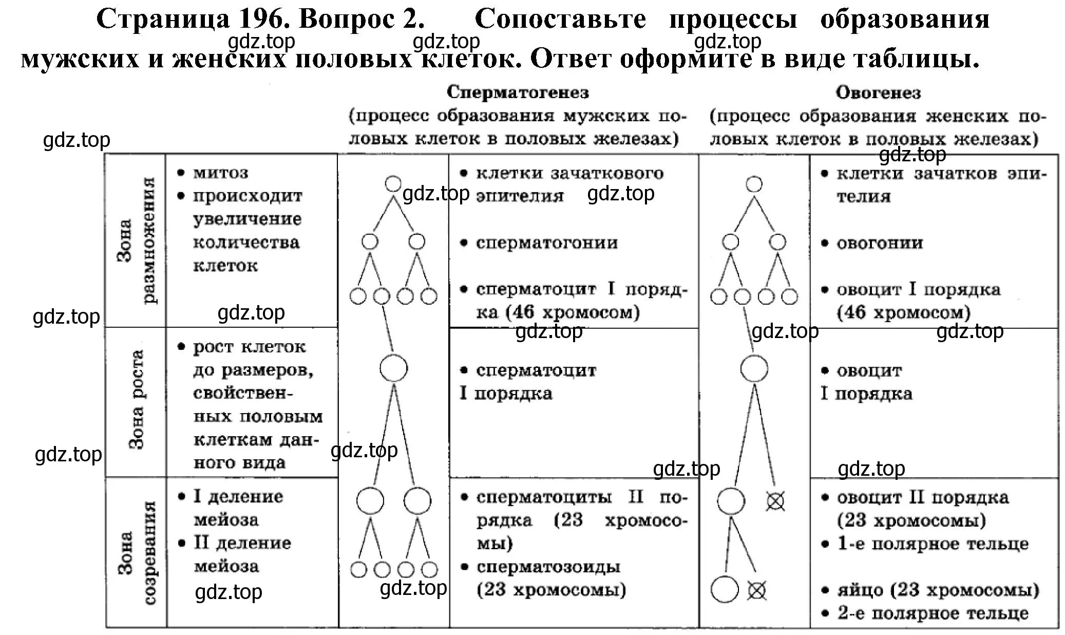 Решение номер 2 (страница 196) гдз по биологии 10 класс Пасечник, Каменский, учебник