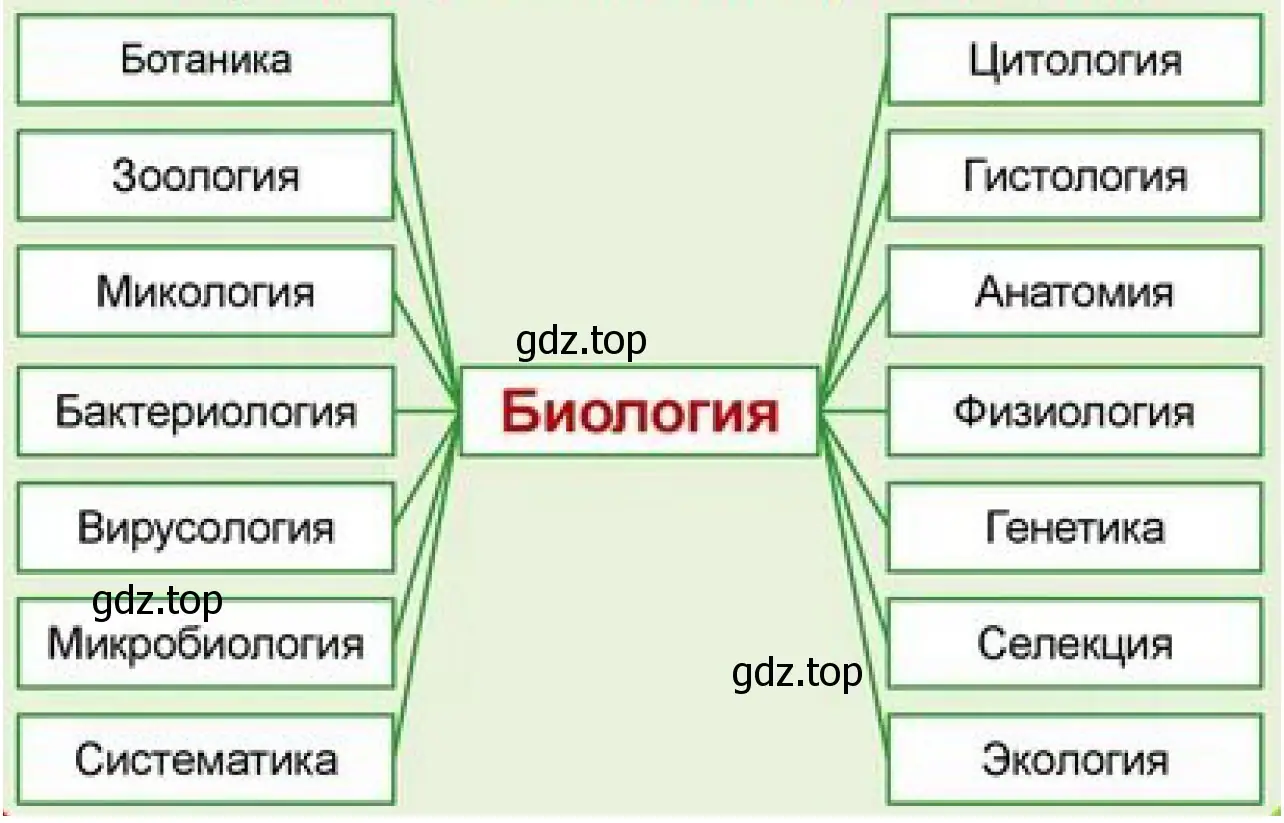 Рисунок. Схема показывающая место биологии в системе наук.