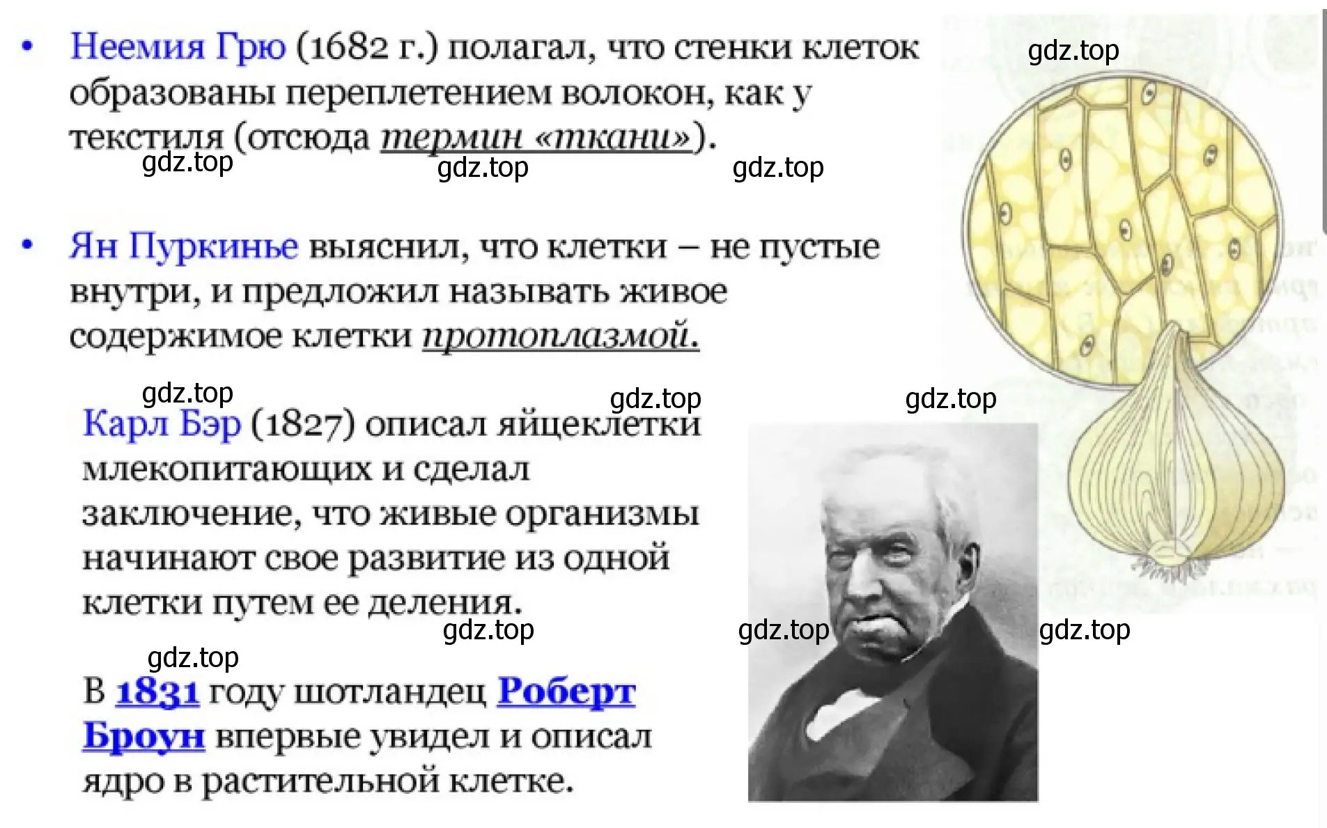 Презентация - слайд 3. История развития цитологии