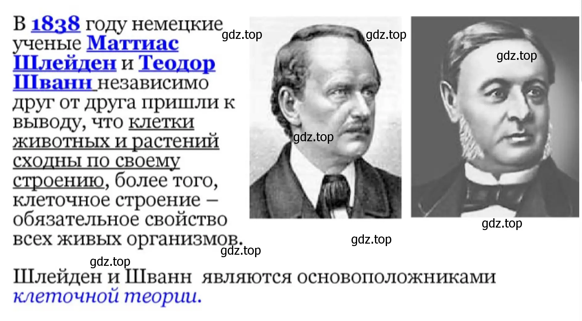 Презентация - слайд 4. История развития цитологии