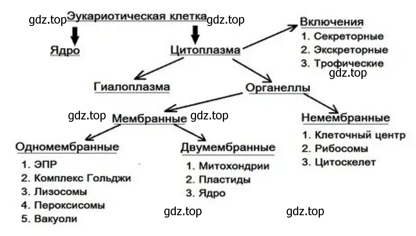 Рисунок. Схема отражающая взаимосвязь компонентов мембраны клетки.