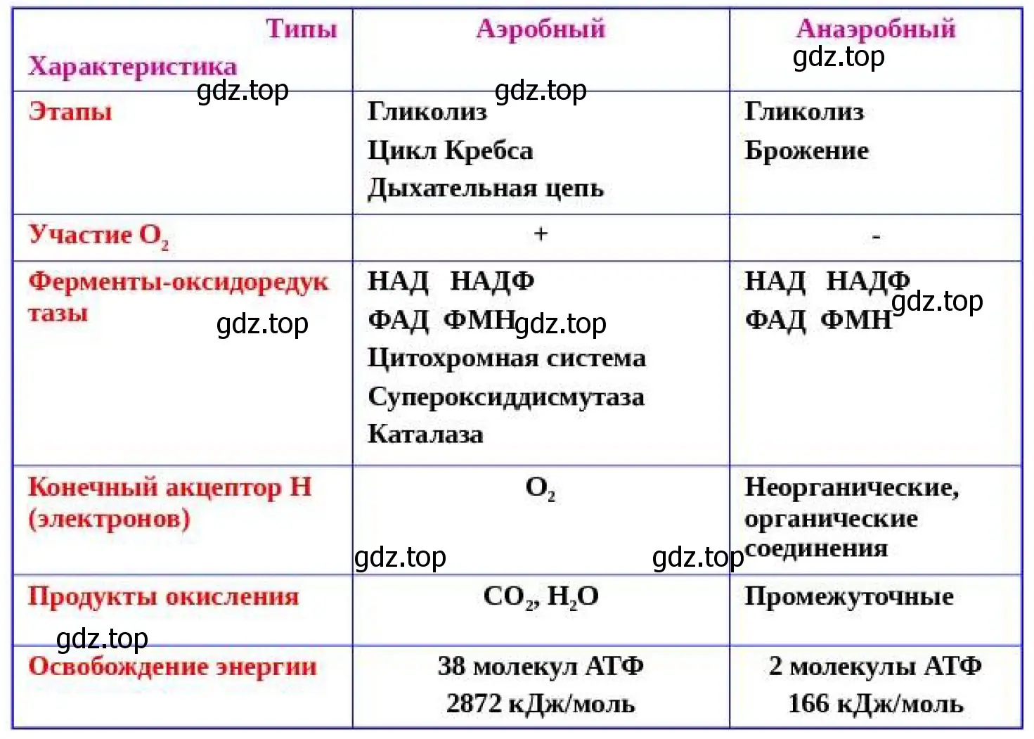 Рисунок. Таблица сравнений процессов аэробного и анаэробного окисления.