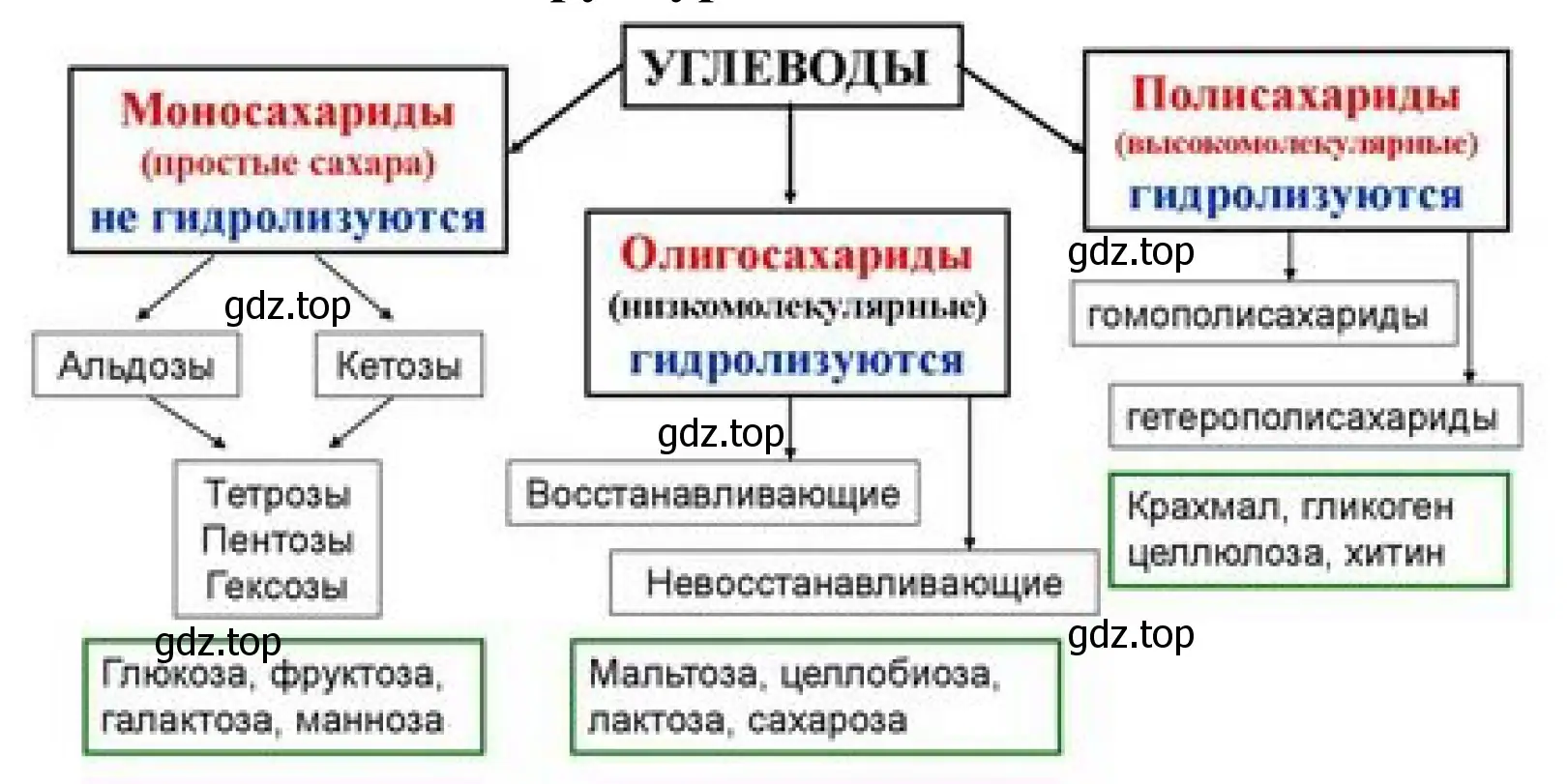 Рисунок. Схема. Классификация углеводов.