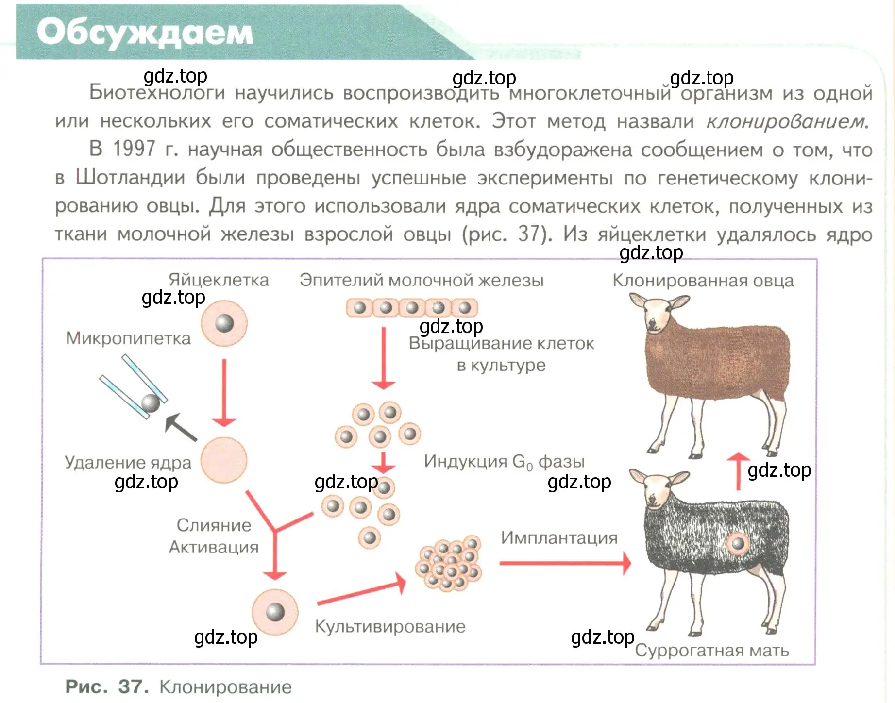 Условие номер 1 (страница 74) гдз по биологии 11 класс Пасечник, Каменский, учебник