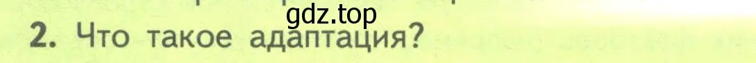 Условие номер 2 (страница 108) гдз по биологии 11 класс Пасечник, Каменский, учебник