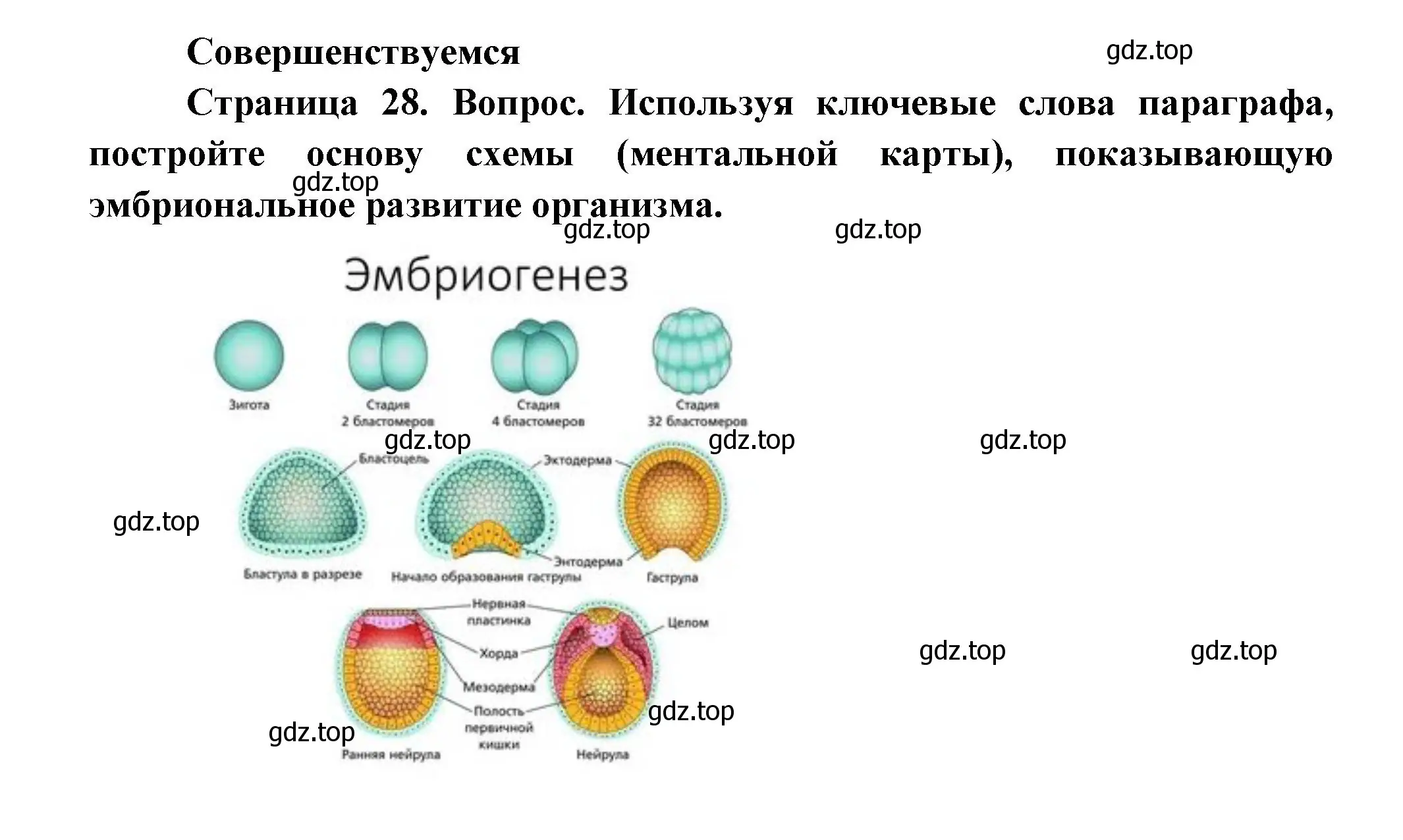 Решение номер 1 (страница 28) гдз по биологии 11 класс Пасечник, Каменский, учебник