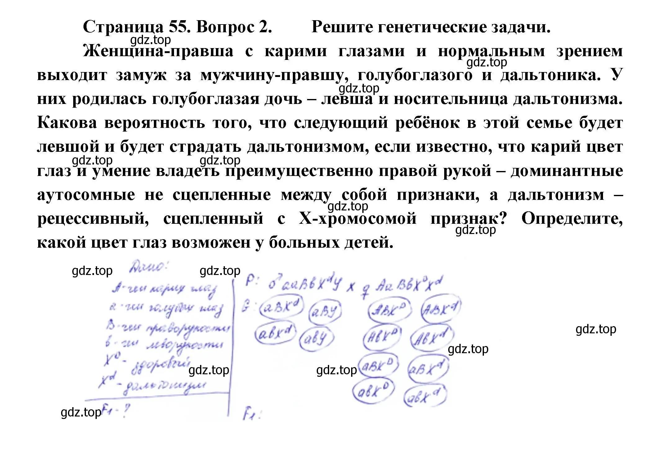 Решение номер 2 (страница 55) гдз по биологии 11 класс Пасечник, Каменский, учебник