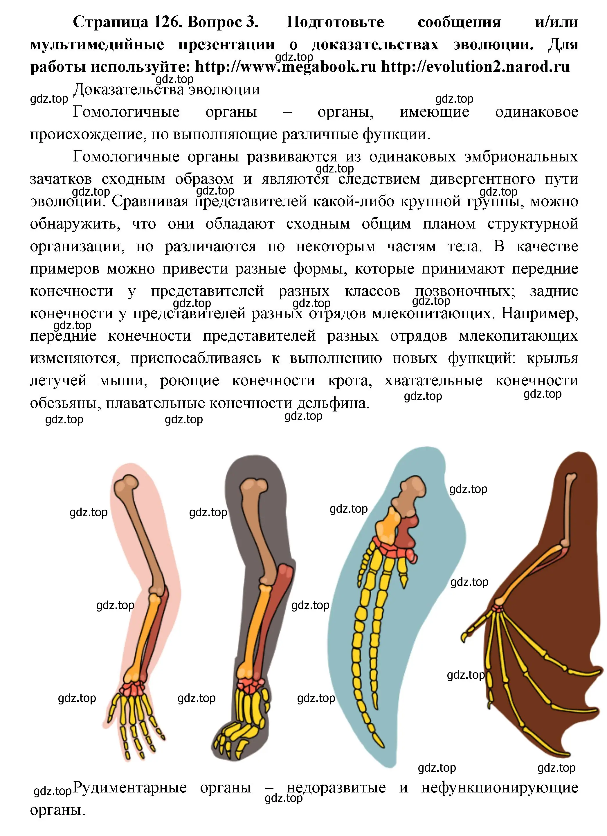 Решение номер 3 (страница 126) гдз по биологии 11 класс Пасечник, Каменский, учебник