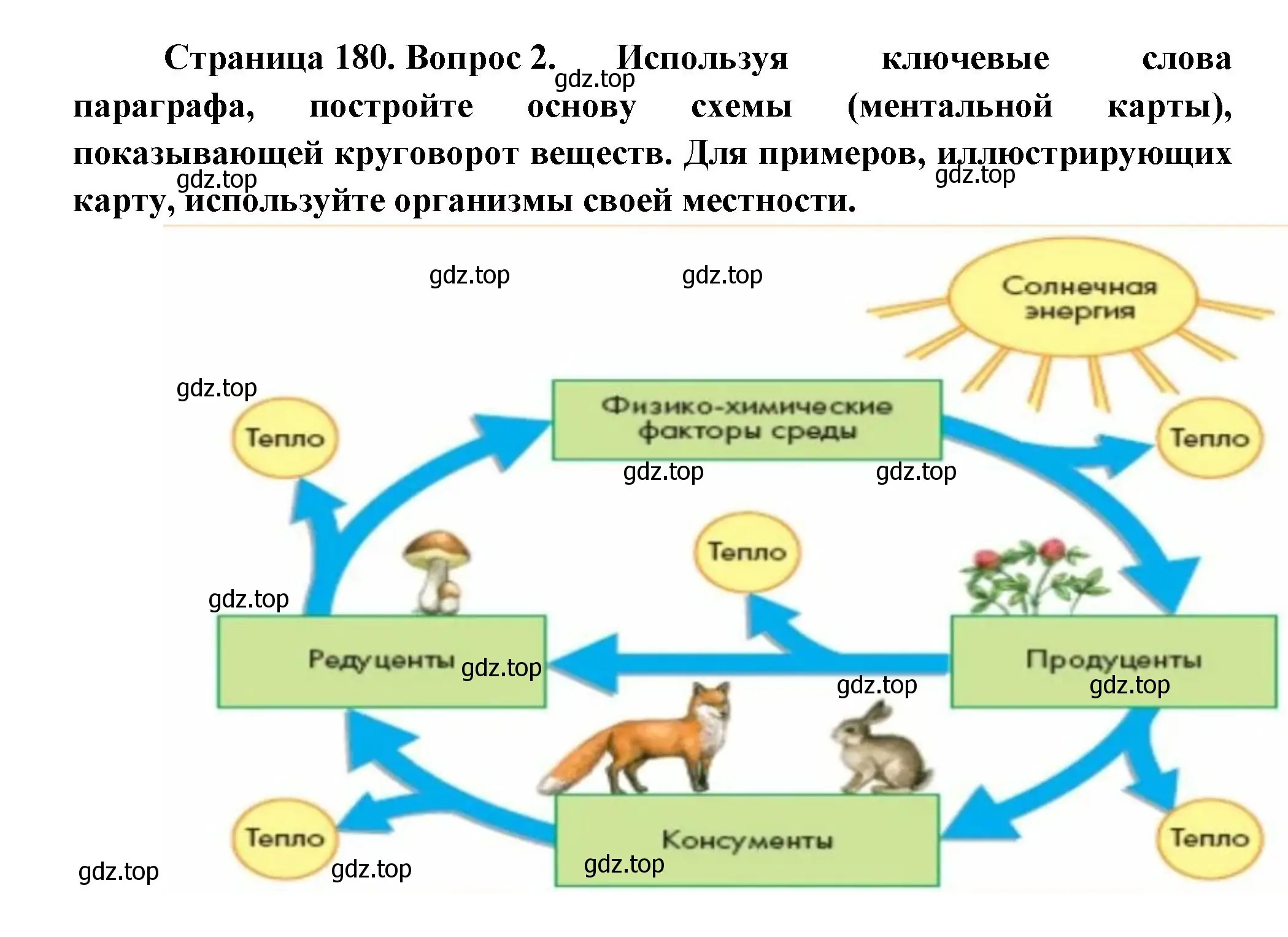 Решение номер 2 (страница 180) гдз по биологии 11 класс Пасечник, Каменский, учебник