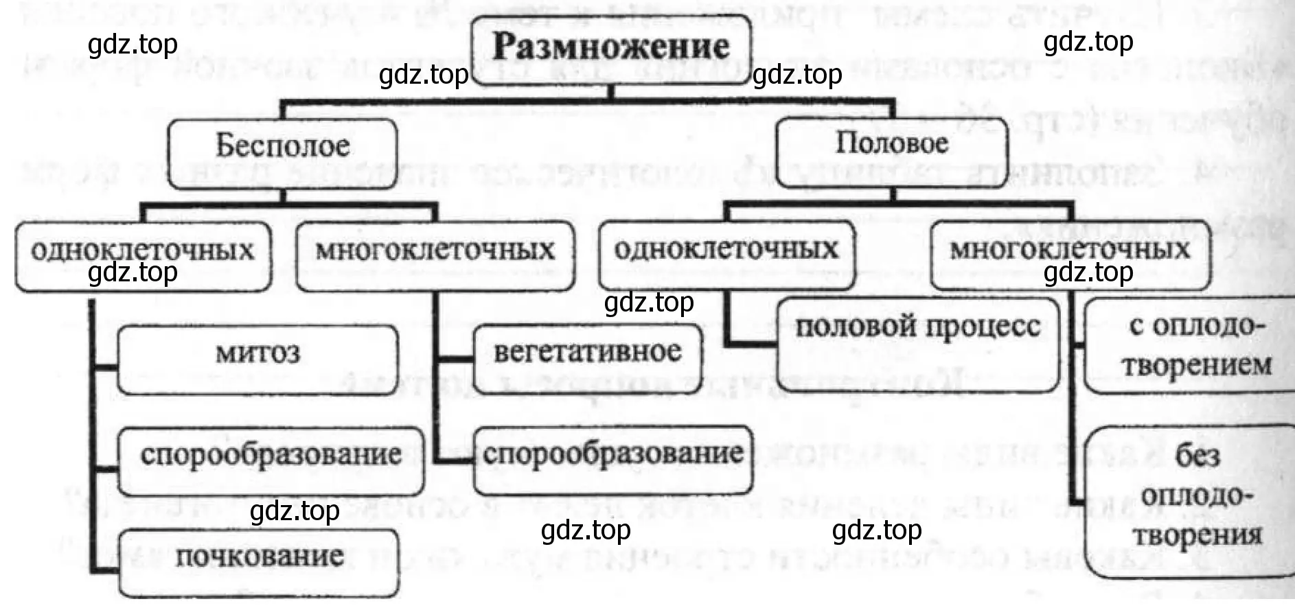 Рисунок. Схема видов и форм размножения.