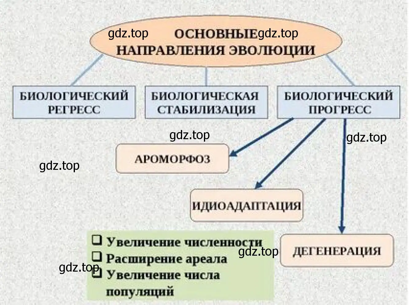 Рисунок. Схема. Основные направления эволюции.