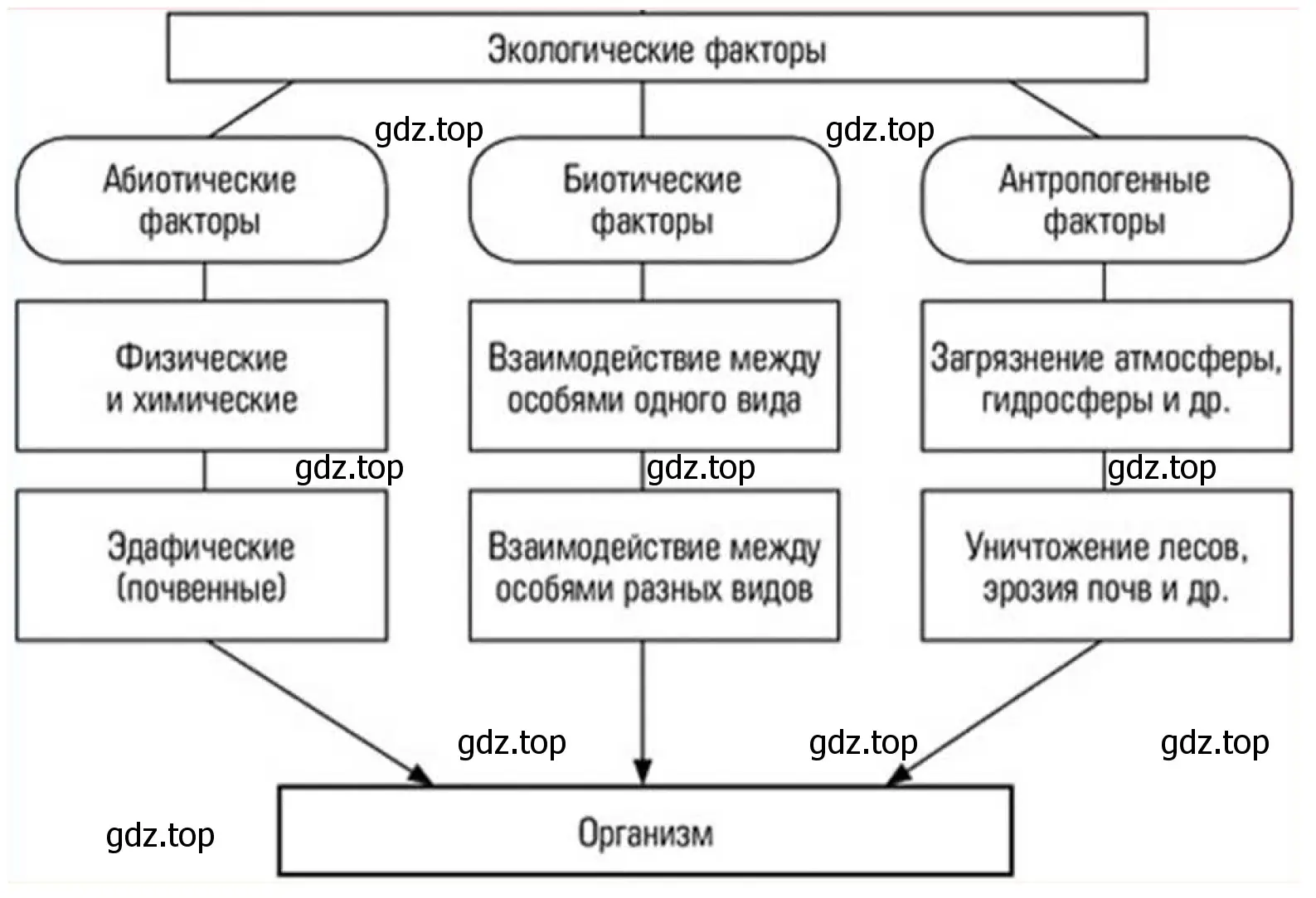 Рисунок. Схема. Экологические факторы.