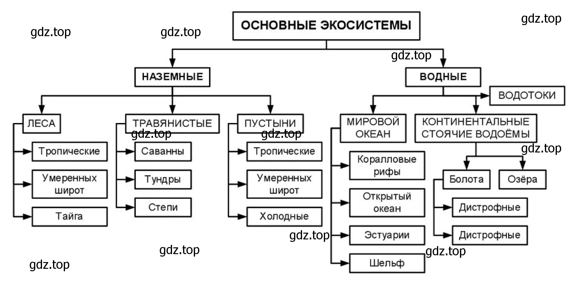 Рисунок. Классификация экосистем.