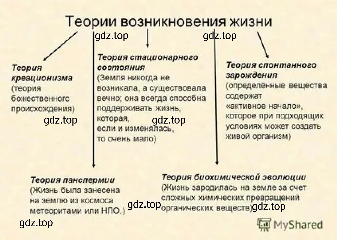 Рисунок. Теория возникновения жизни.