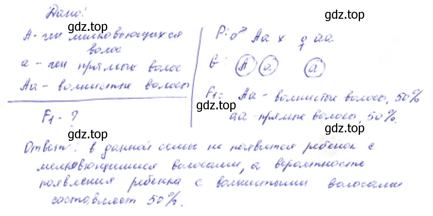 Задача: У человека ген мелко вьющихся волос является геном неполного доминирования по отношению к гену прямых волос. От брака женщины с прямыми волосами и мужчины, имеющего волнистые волосы, рождается ребёнок с прямыми, как у матери, волосами. Может ли появиться в этой семье ребёнок с волнистыми волосами? С мелко вьющимися волосами? Известно, что у гетерозигот волосы волнистые.