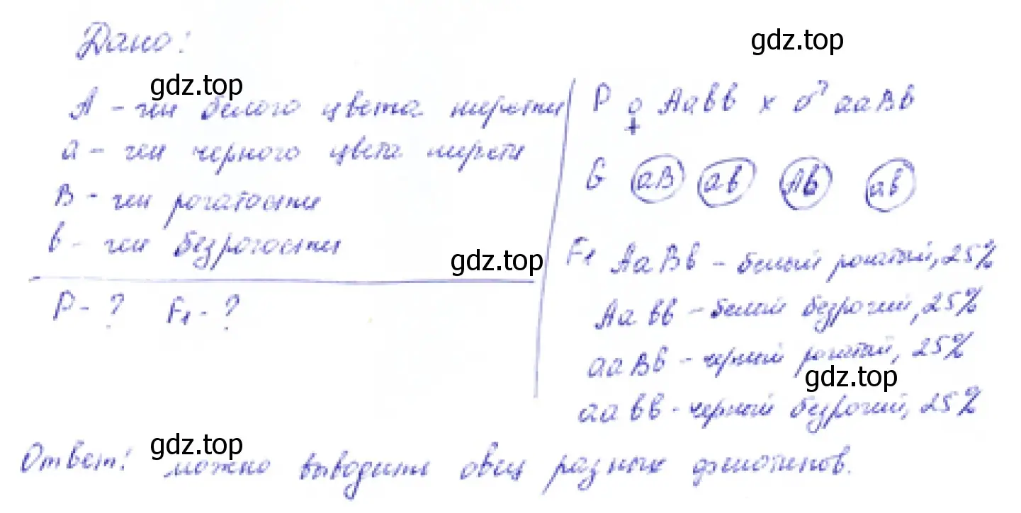 Задача. У овец белая окраска шерсти доминирует над чёрной, а рогатость доминирует над комолостью (безрогостью). В результате скрещивания белой комолой овцы с чёрным рогатым бараном было получено следующее потомство: баранов ━ 25 % рогатых белых, 25 % рогатых чёрных, 25 % комолых белых, 25% комолых чёрных; овец ━ 50% комолых белых, 50% комолых чёрных. Определите генотипы родителей и потомства, составьте схему скрещивания. Какое практическое значение может иметь данная задача? 