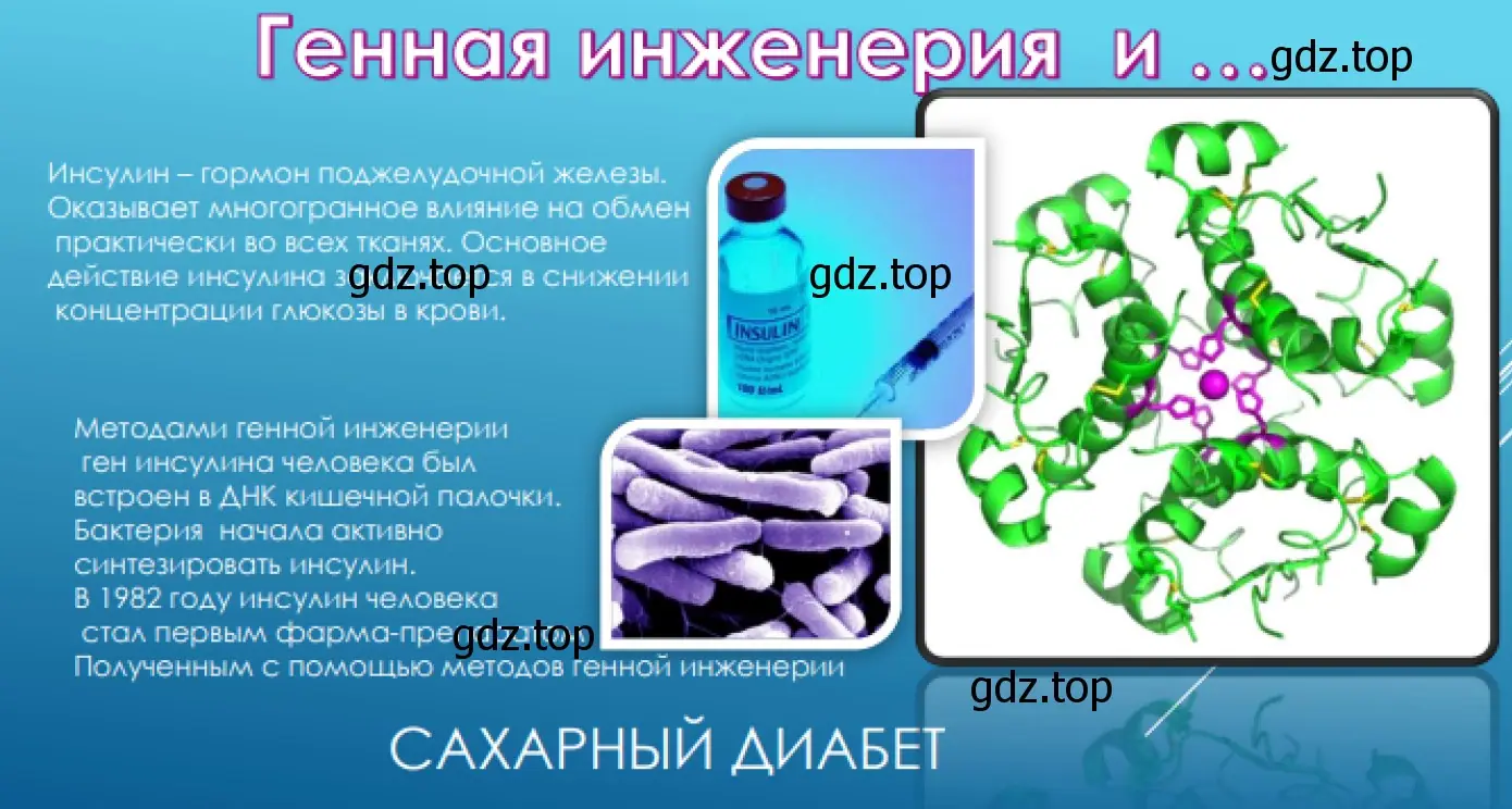 Генная инженерия и сахарный диабет