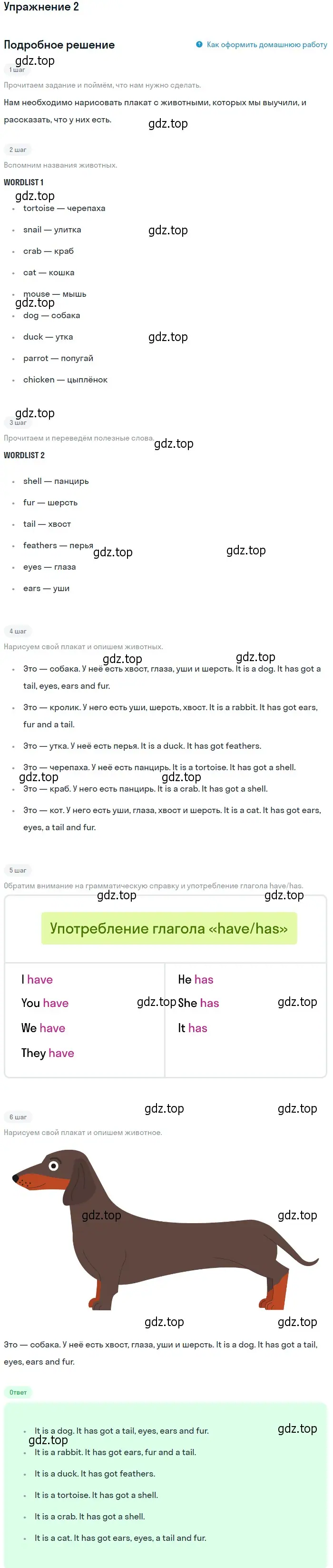 Решение номер 2 (страница 65) гдз по английскому языку 1 класс Быкова, Дули, учебник