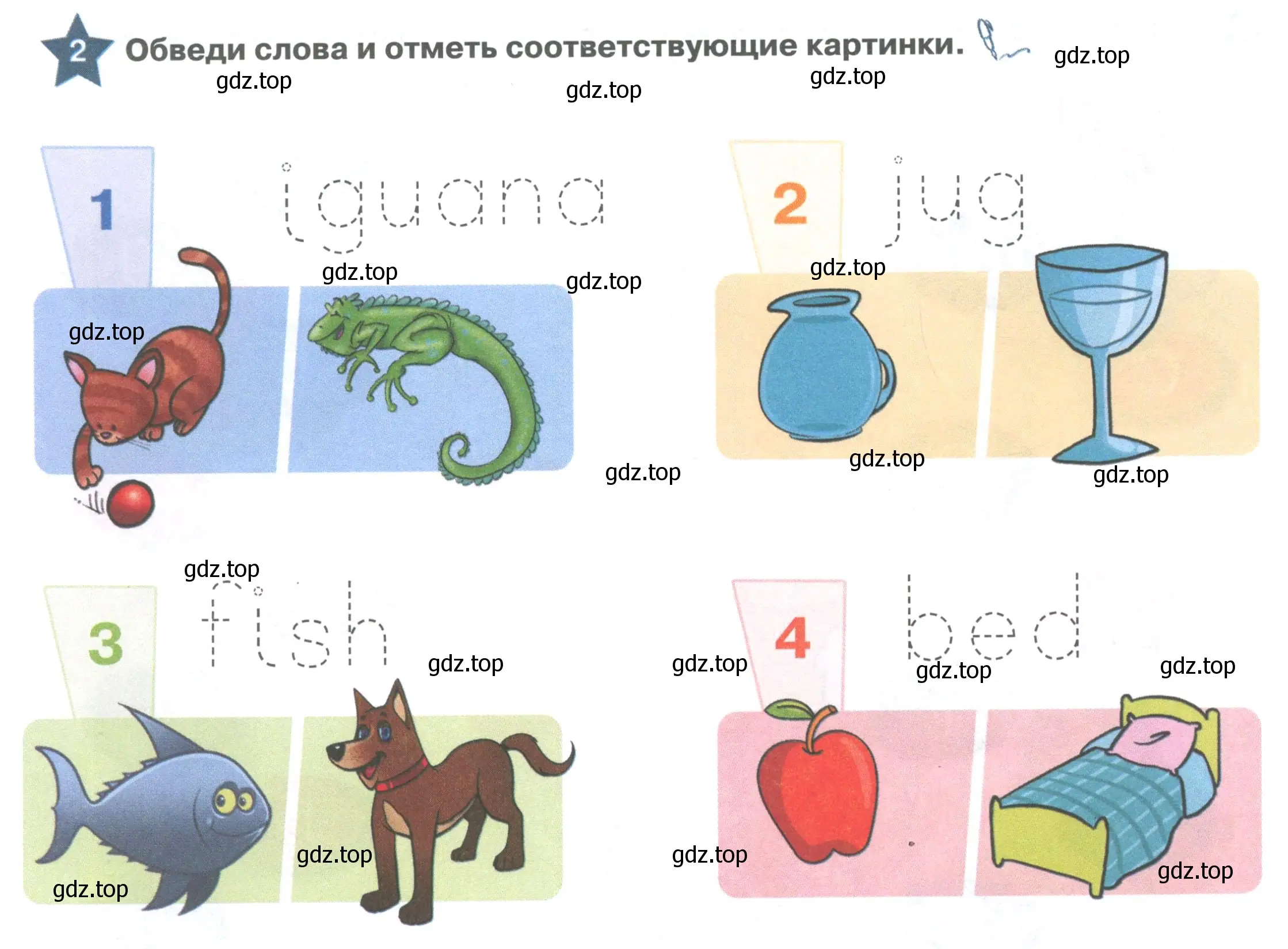 Условие номер 2 (страница 56) гдз по английскому языку 1 класс Баранова, Дули, рабочая тетрадь