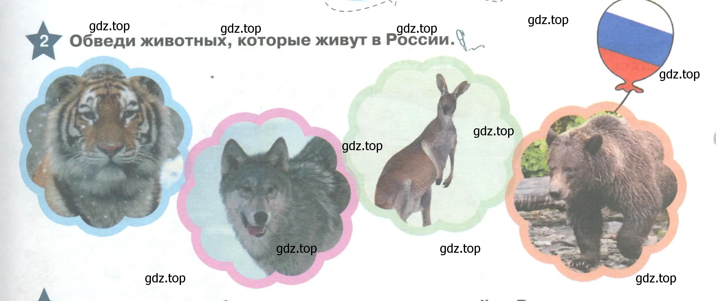 Условие номер 2 (страница 101) гдз по английскому языку 1 класс Баранова, Дули, учебник