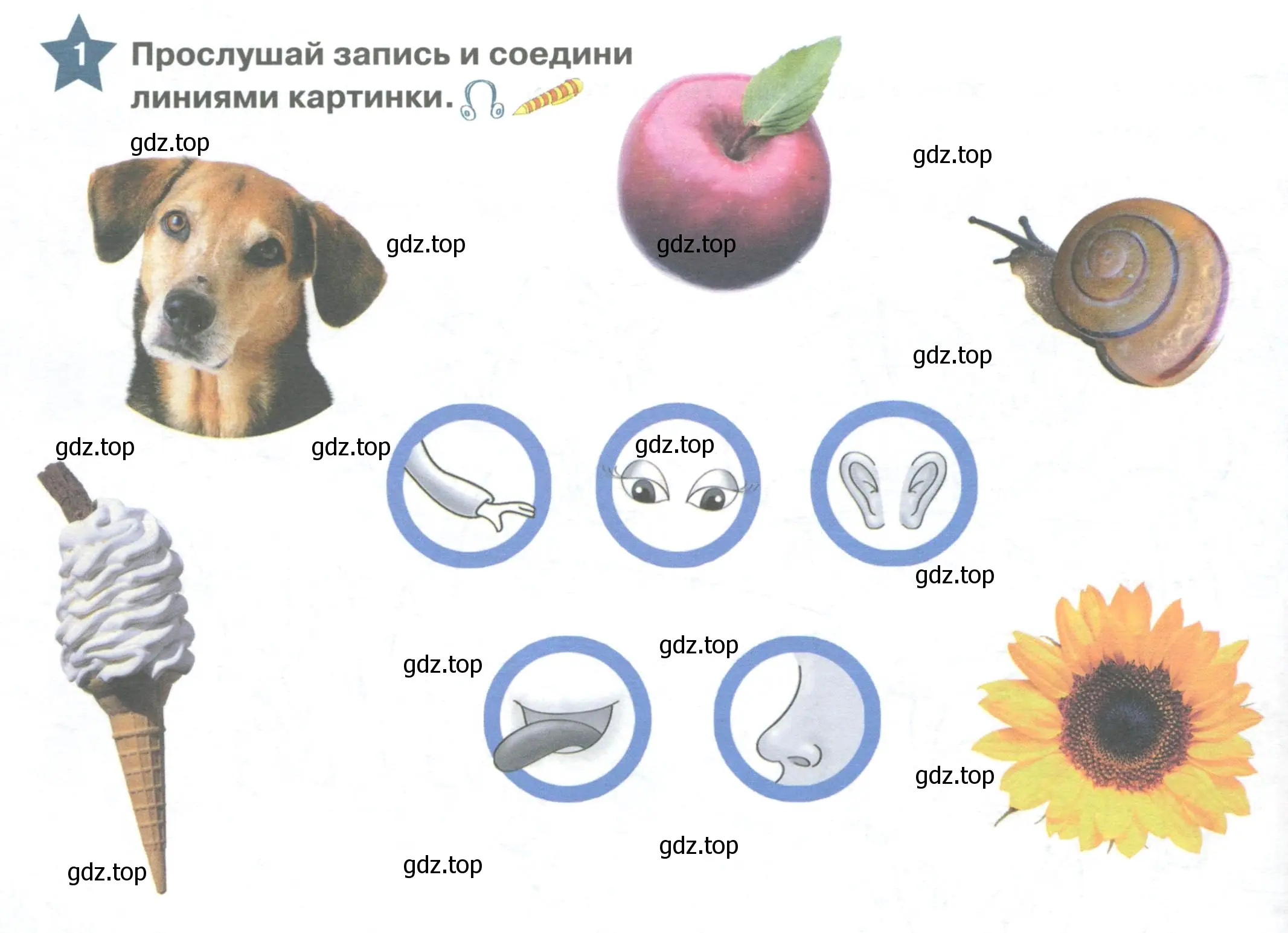 Условие номер 1 (страница 112) гдз по английскому языку 1 класс Баранова, Дули, учебник