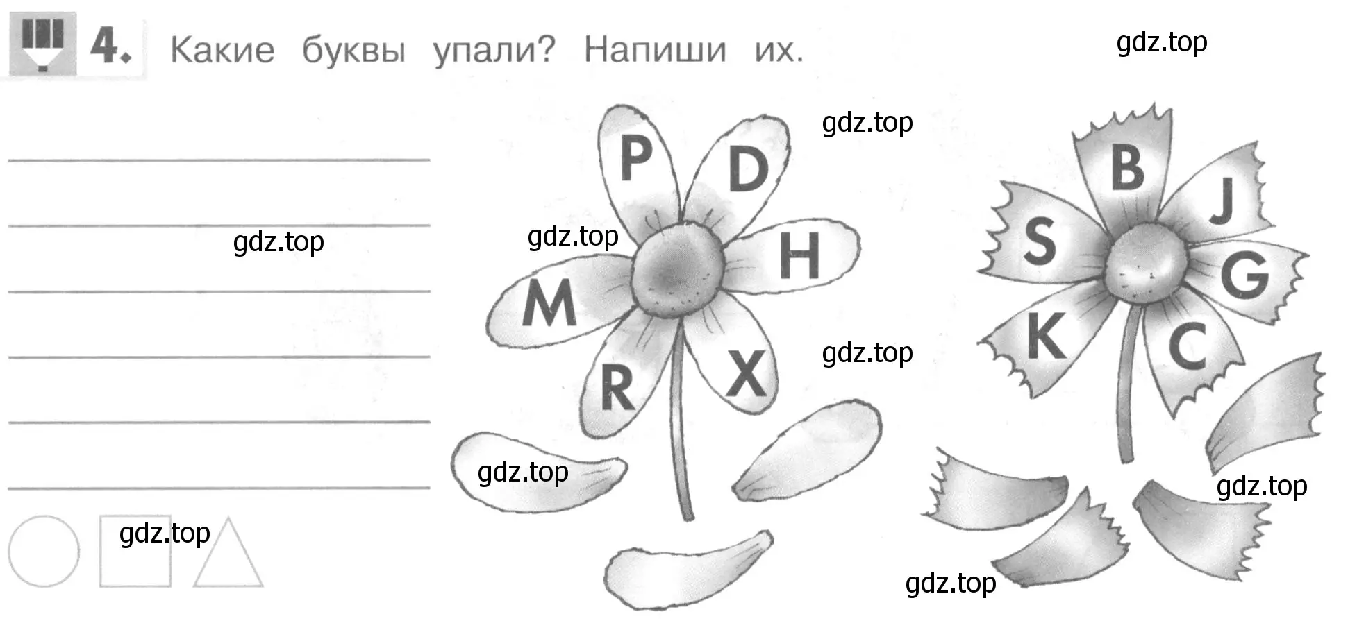 Условие номер 4 (страница 24) гдз по английскому языку 1 класс Верещагина, Притыкина, рабочая тетрадь