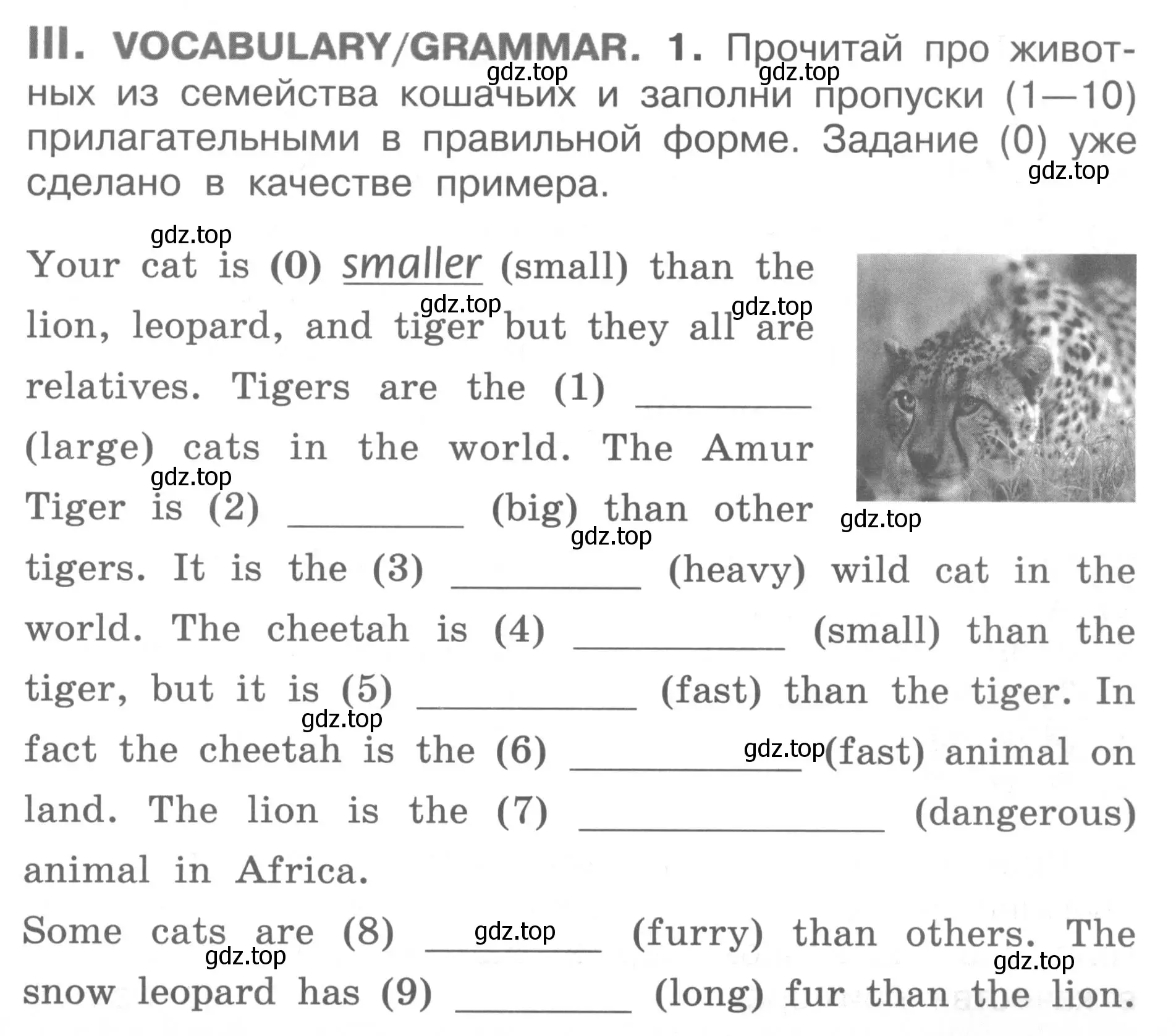 Условие  III (страница 59) гдз по английскому языку 2-4 класс Кузовлев, Лапа, контрольные задания