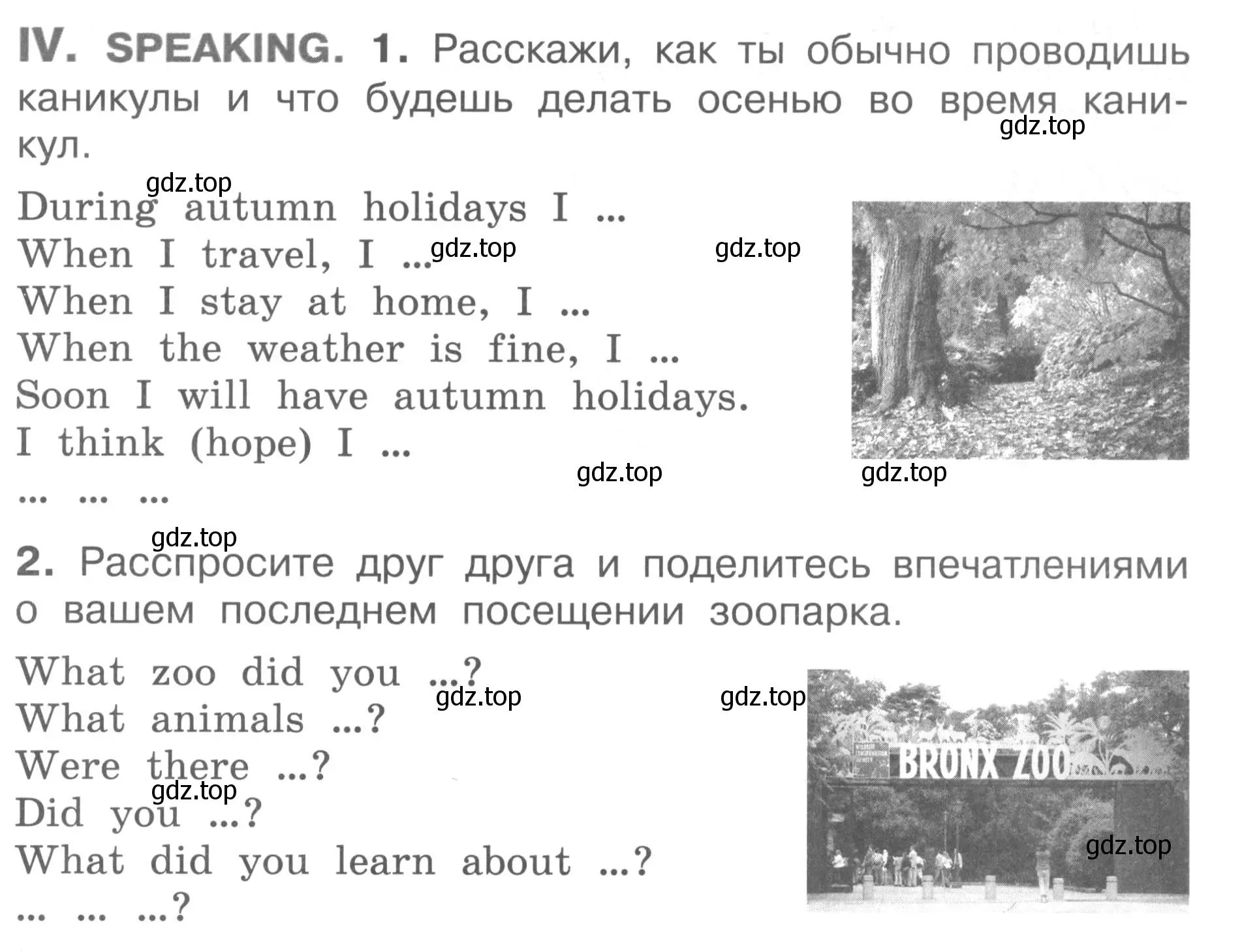 Условие  IV (страница 61) гдз по английскому языку 2-4 класс Кузовлев, Лапа, контрольные задания