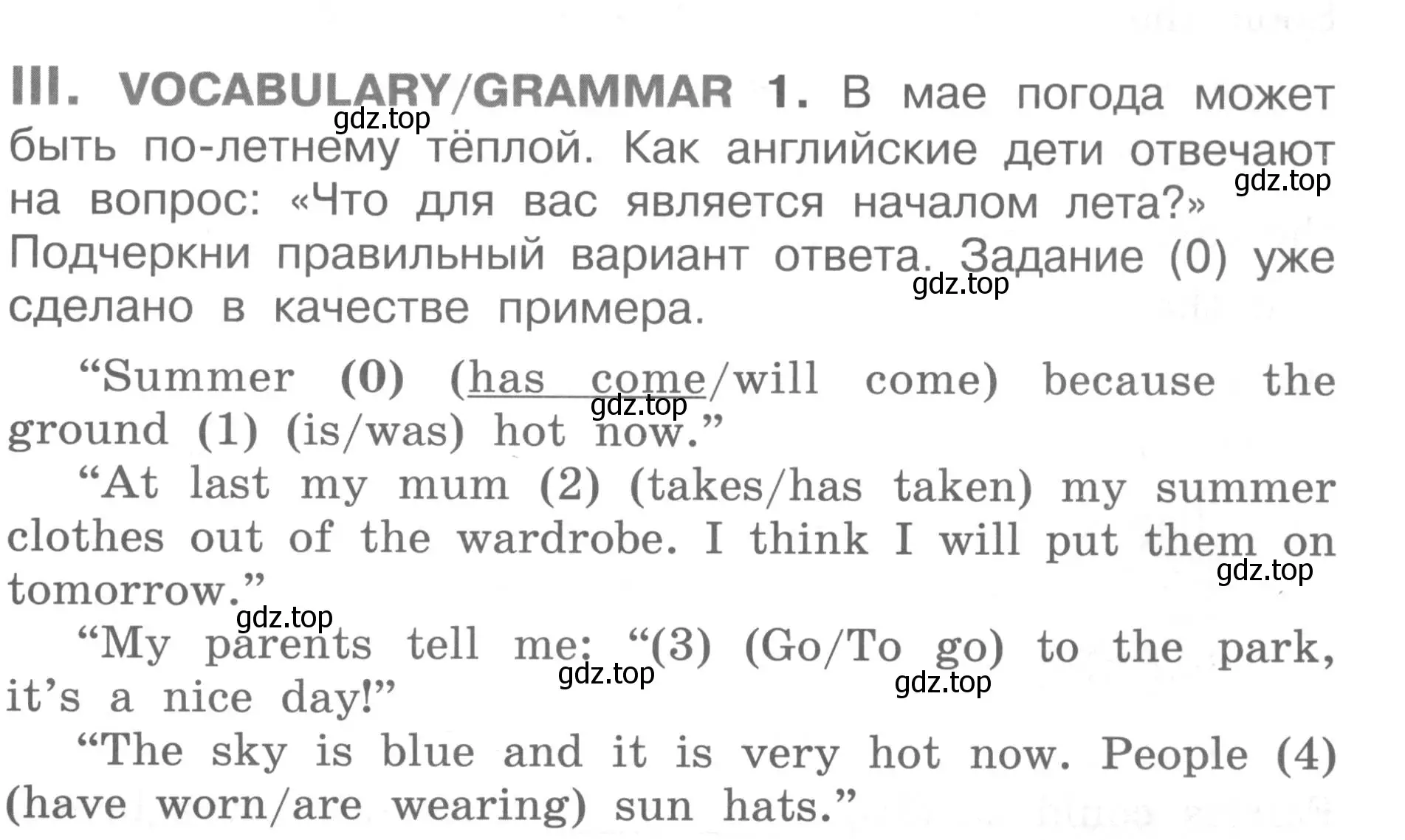 Условие  III (страница 91) гдз по английскому языку 2-4 класс Кузовлев, Лапа, контрольные задания