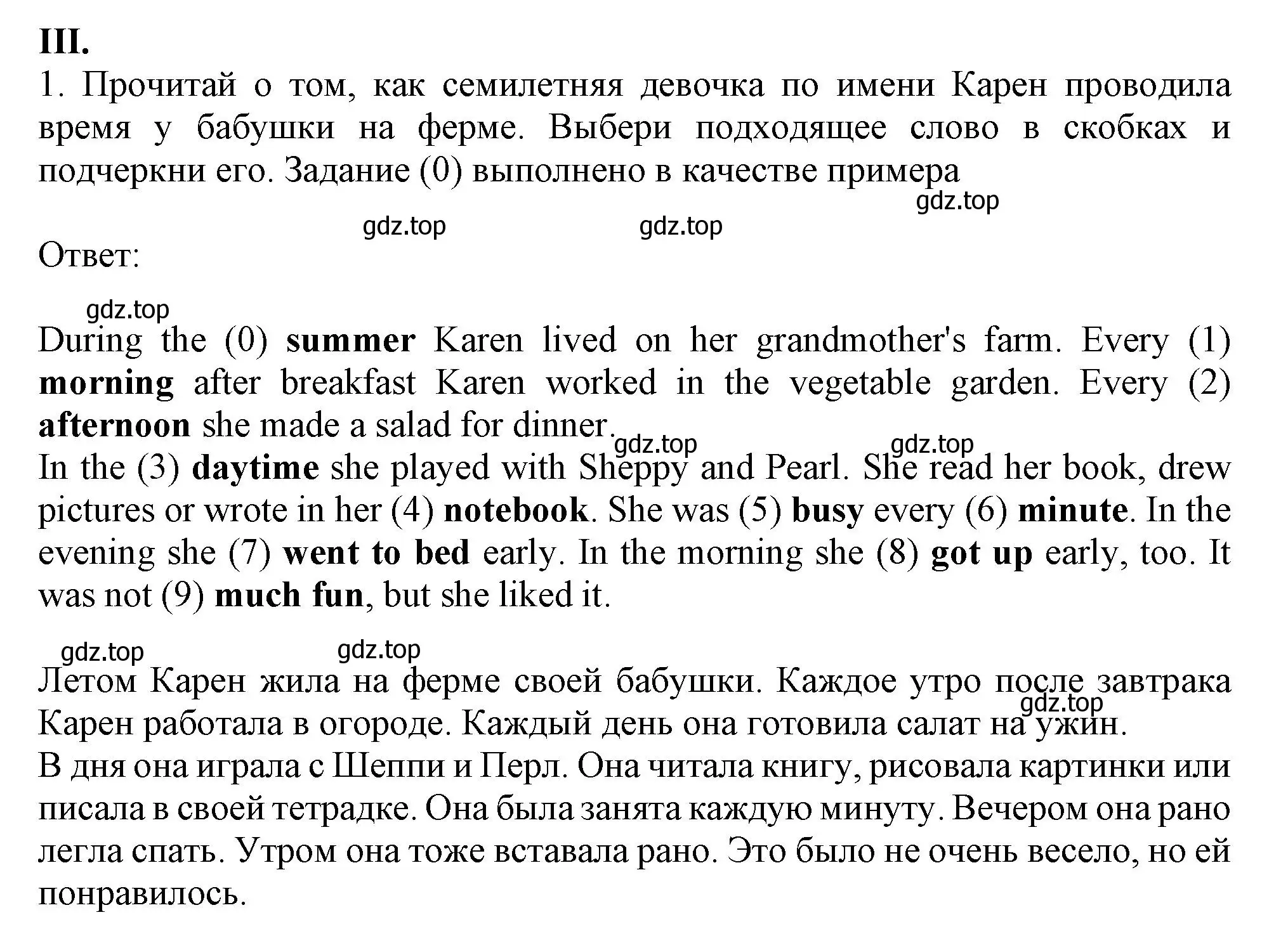 Решение  III (страница 65) гдз по английскому языку 2-4 класс Кузовлев, Лапа, контрольные задания