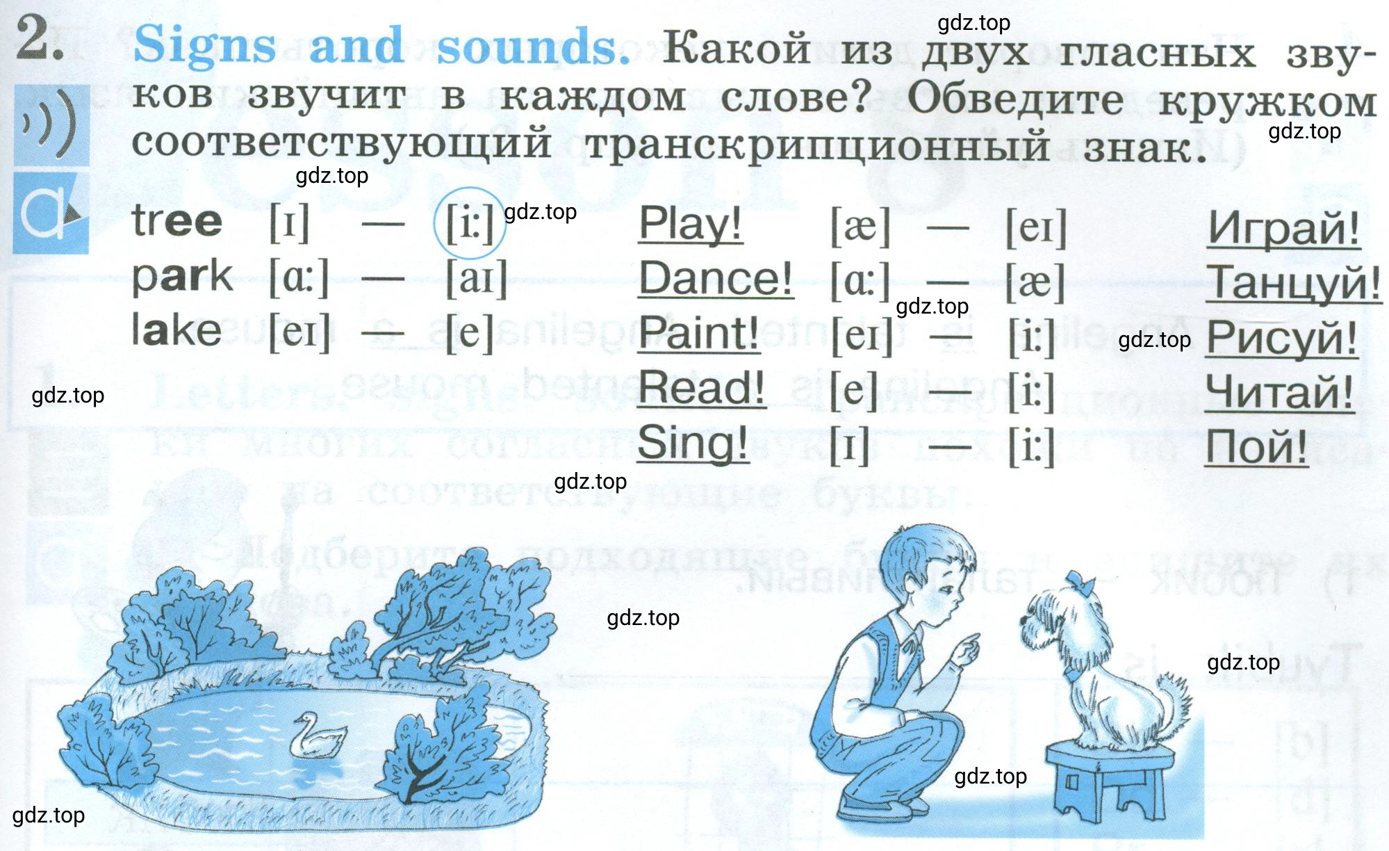 Условие номер 2 (страница 13) гдз по английскому языку 2 класс Кузовлев, Перегудова, рабочая тетрадь