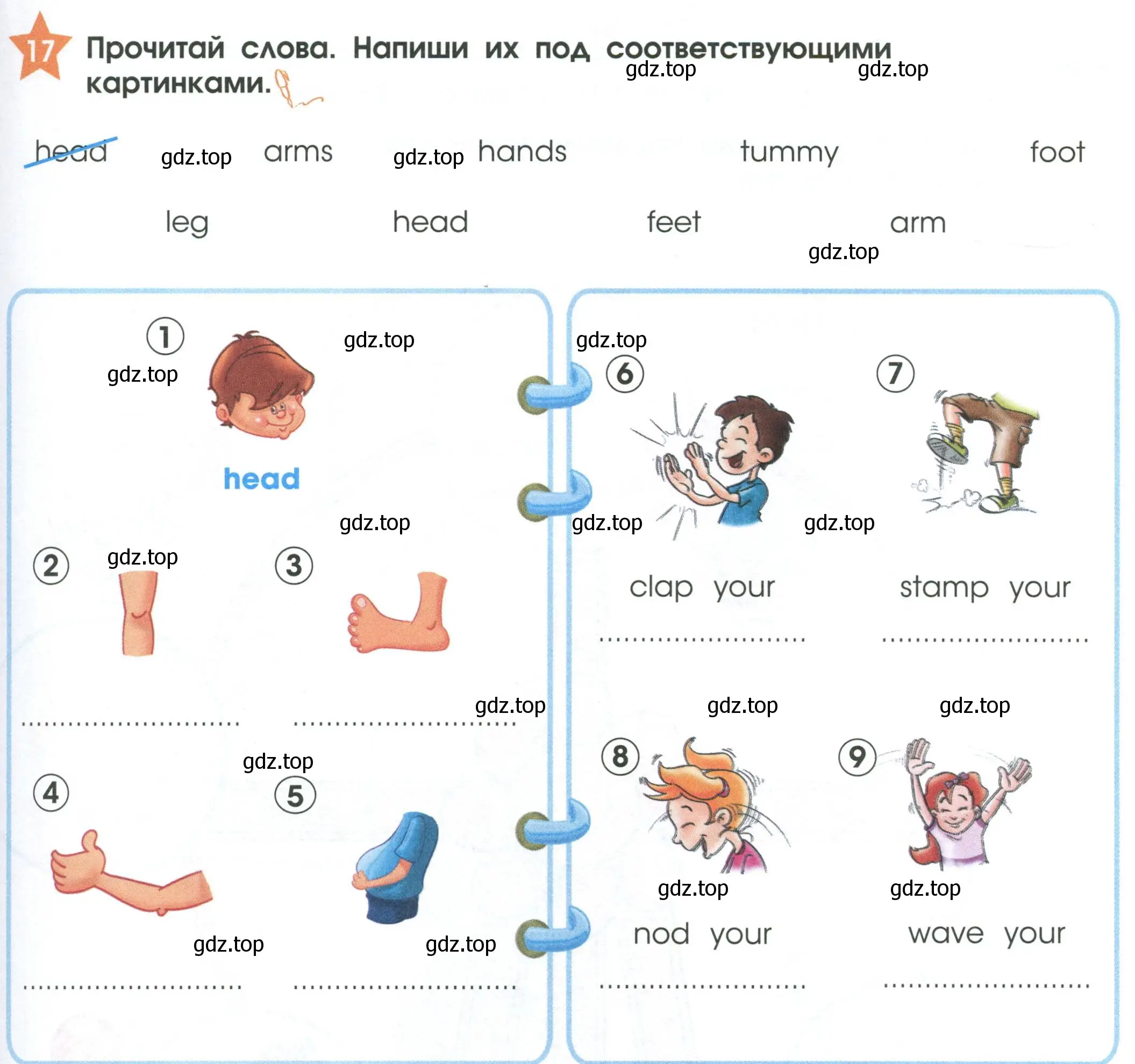 Условие номер 17 (страница 41) гдз по английскому языку 2 класс Баранова, Дули, рабочая тетрадь 1 часть