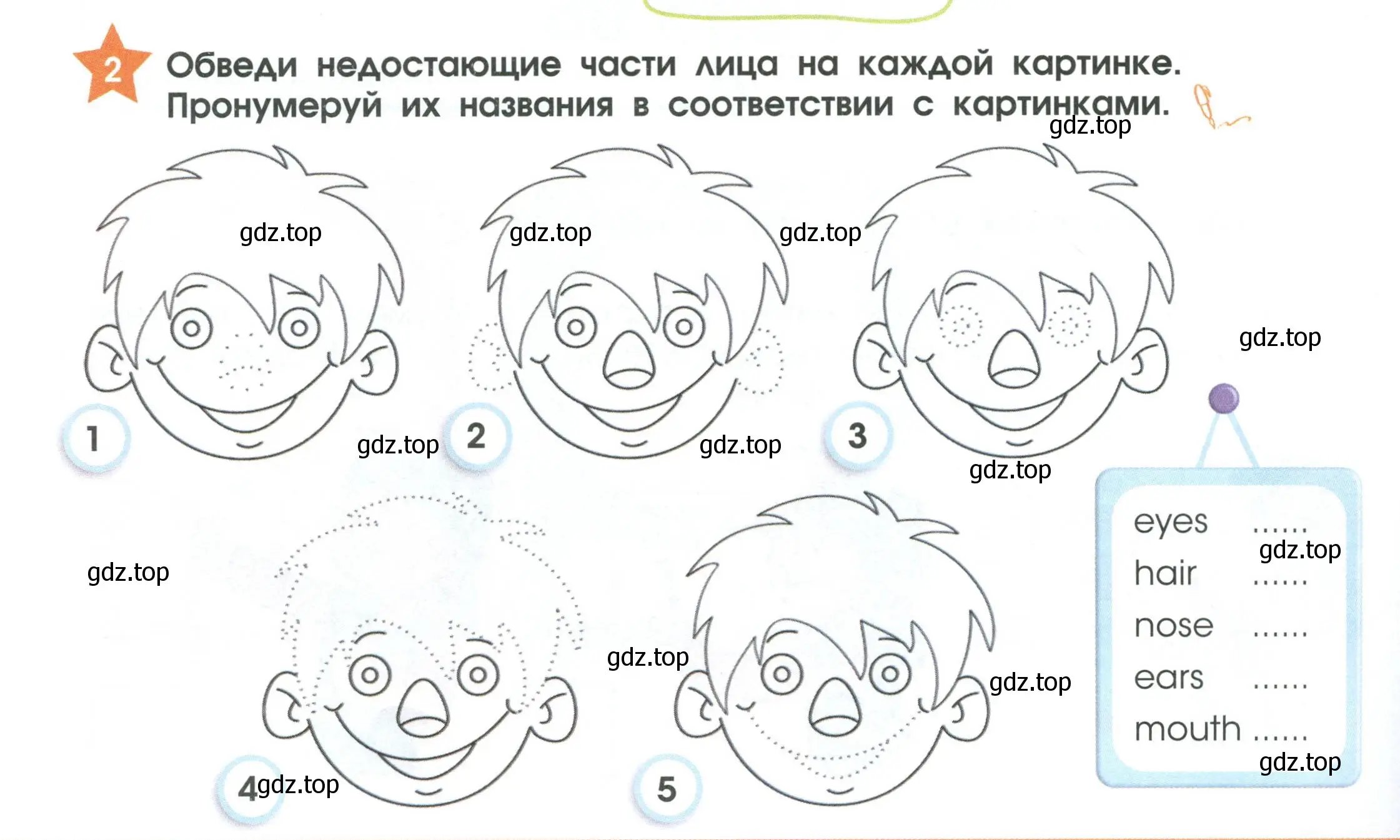 Условие номер 2 (страница 32) гдз по английскому языку 2 класс Баранова, Дули, рабочая тетрадь 1 часть