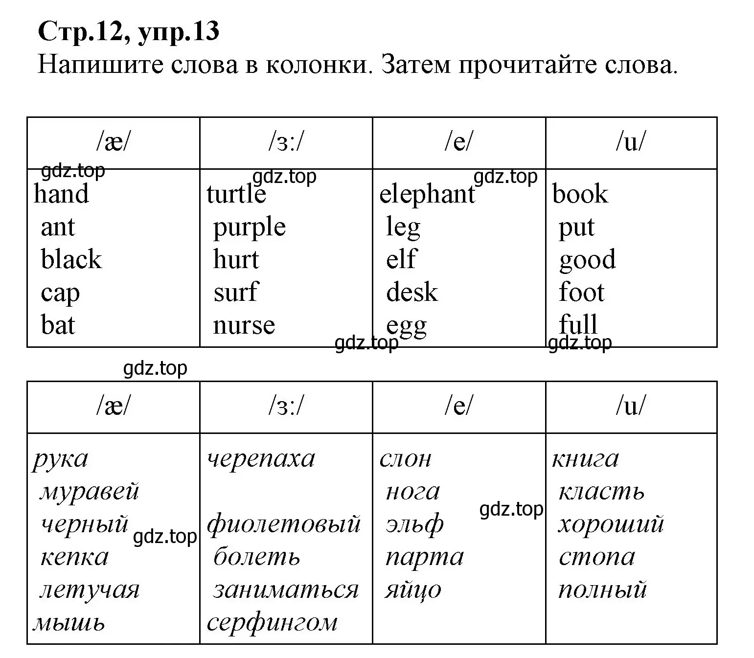 Решение номер 13 (страница 12) гдз по английскому языку 2 класс Баранова, Дули, рабочая тетрадь 2 часть