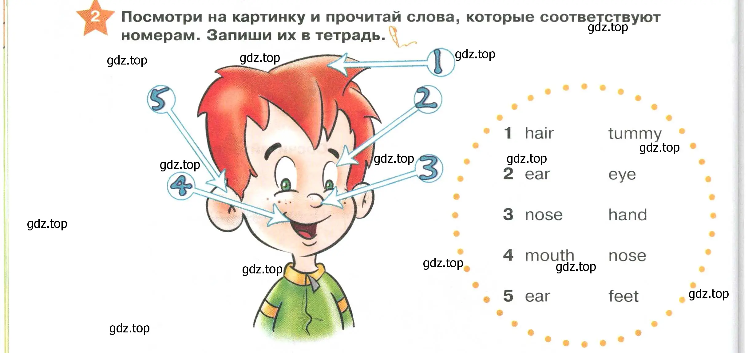 Условие номер 2 (страница 80) гдз по английскому языку 2 класс Баранова, Дули, учебник 1 часть