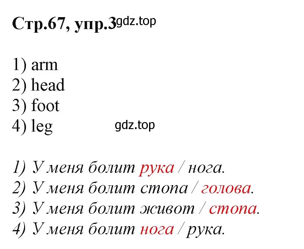 Решение номер 3 (страница 67) гдз по английскому языку 2 класс Баранова, Дули, учебник 1 часть