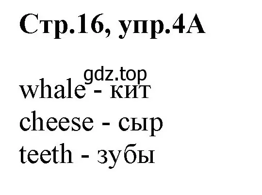 Решение номер 4 (страница 16) гдз по английскому языку 2 класс Баранова, Дули, учебник 1 часть