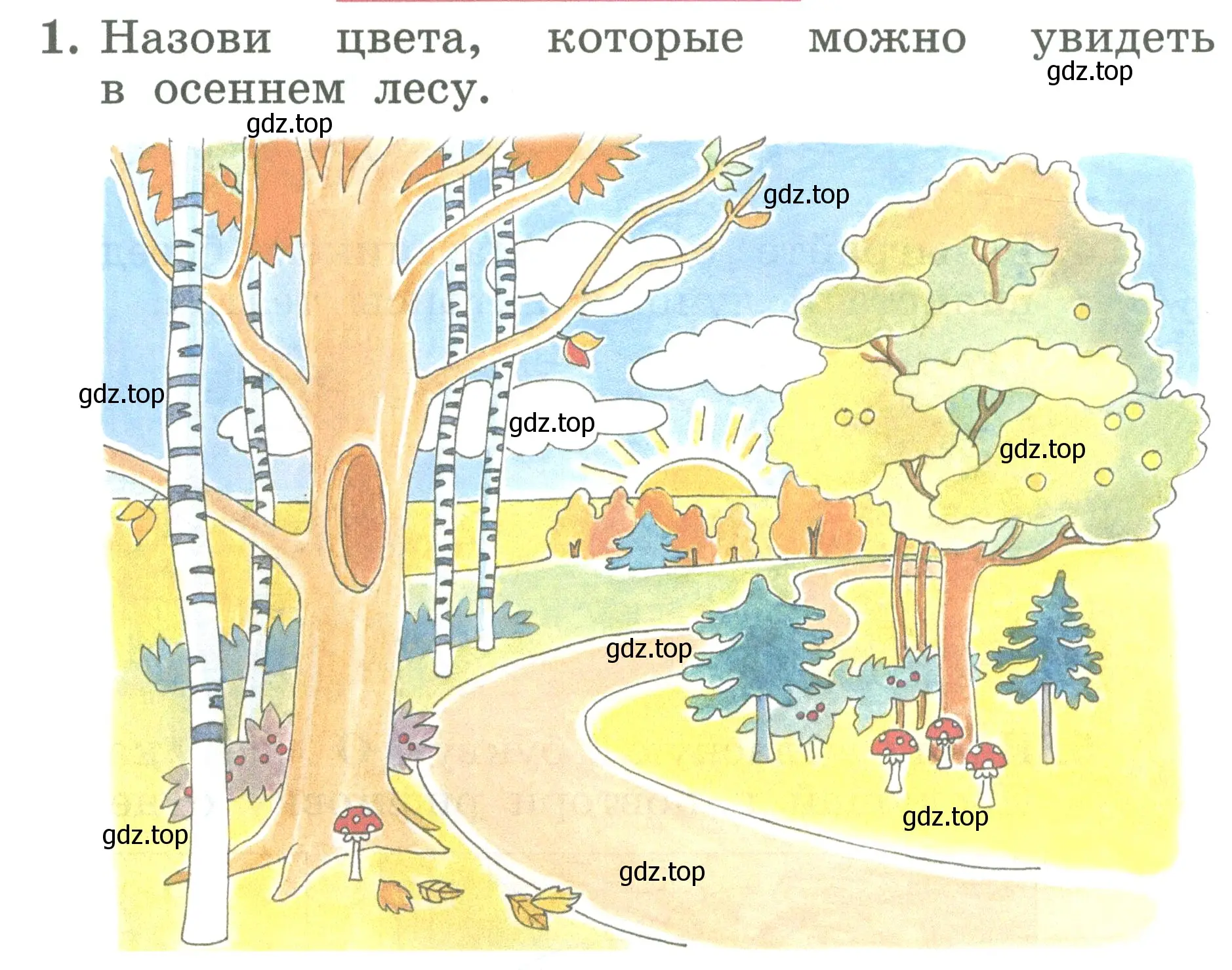 Условие номер 1 (страница 36) гдз по английскому языку 2 класс Биболетова, Денисенко, учебник