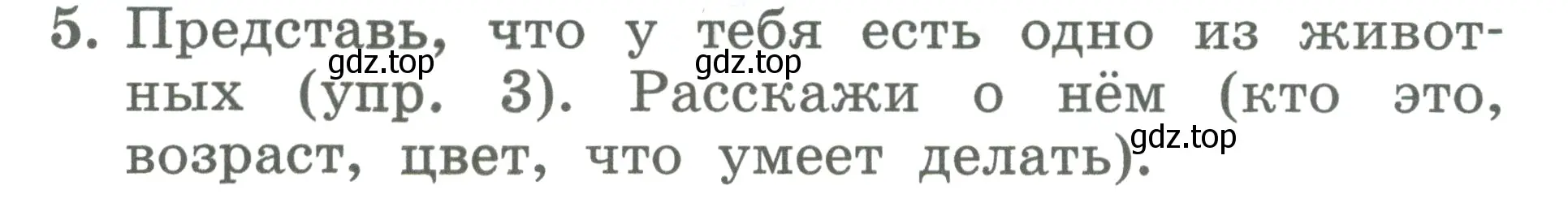 Условие номер 5 (страница 45) гдз по английскому языку 2 класс Биболетова, Денисенко, учебник