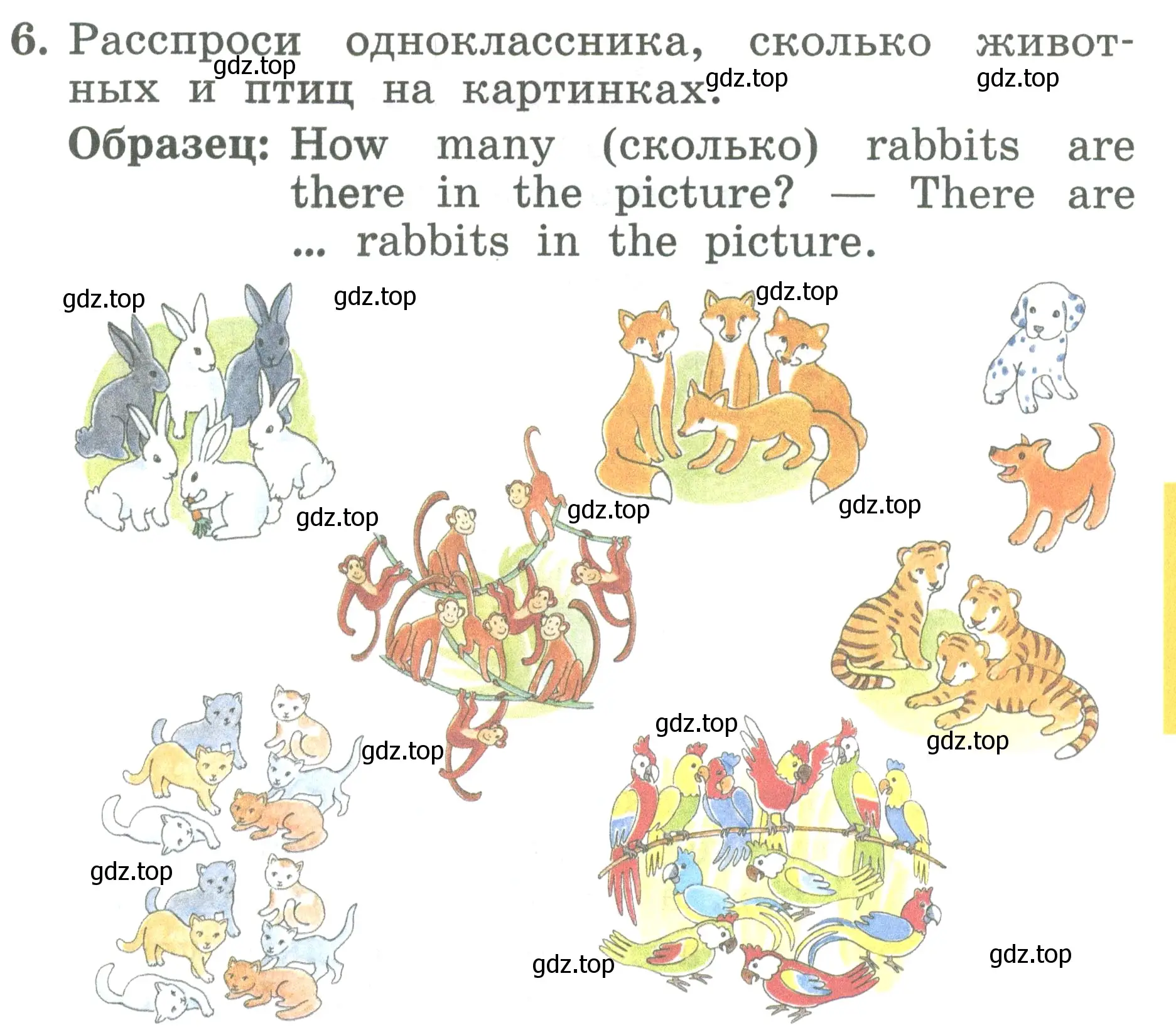 Условие номер 6 (страница 77) гдз по английскому языку 2 класс Биболетова, Денисенко, учебник